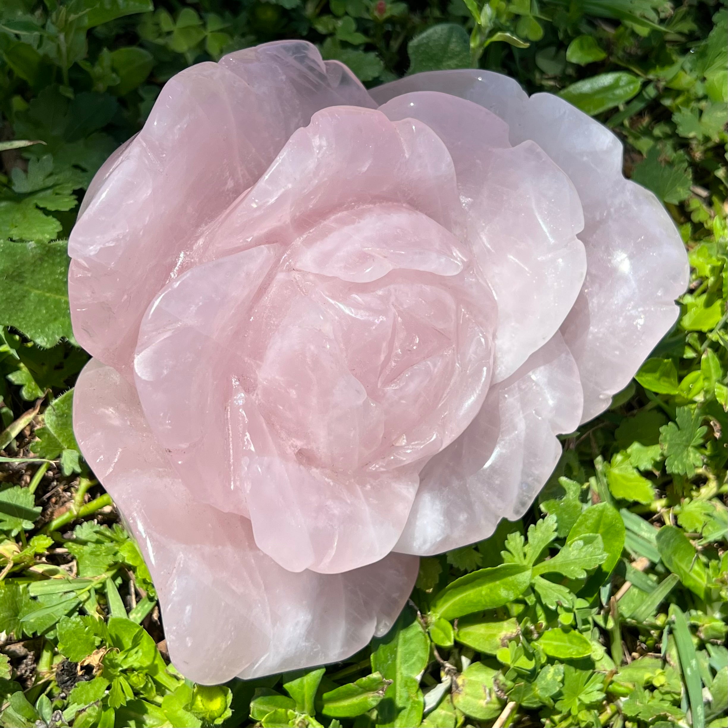 Rose Quartz Rose Carving - Large