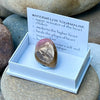Watermelon Tourmaline ~ Specialty Boxed Crystal