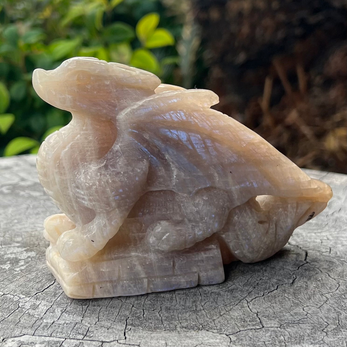 Dragon Carving ~ Moonstone