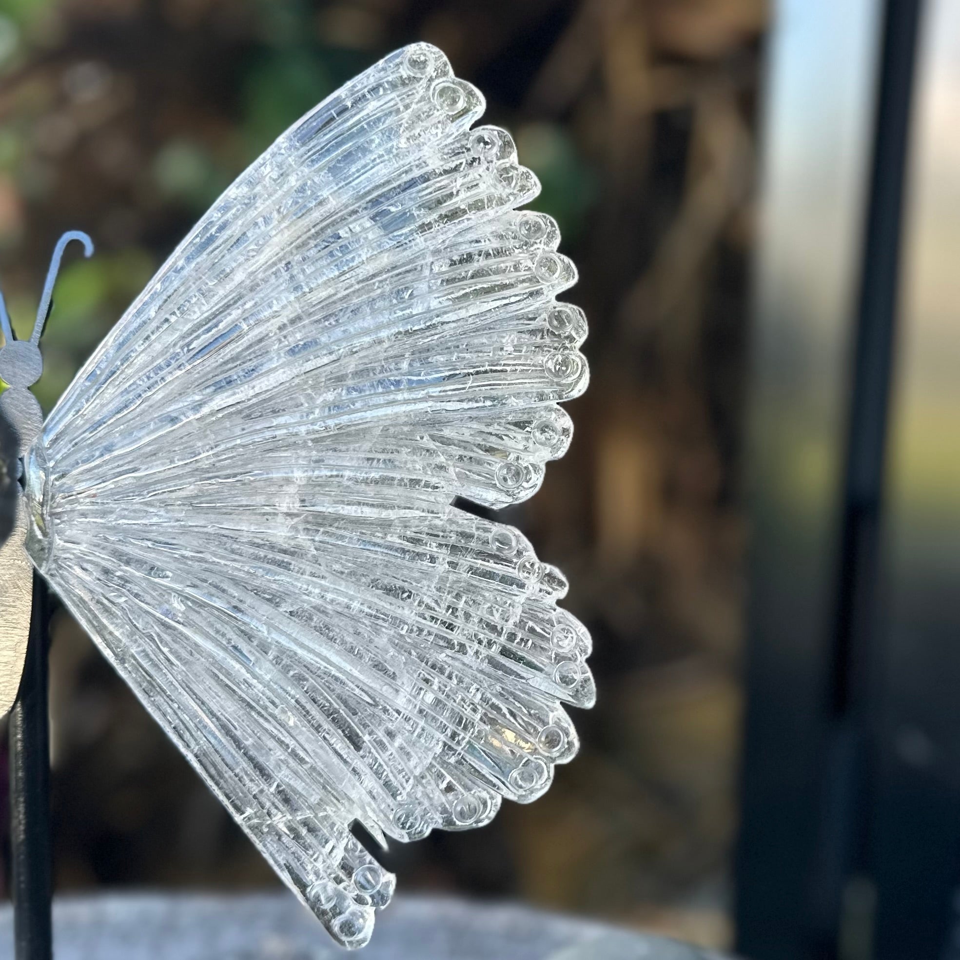 Clear Quartz Butterfly on Stand