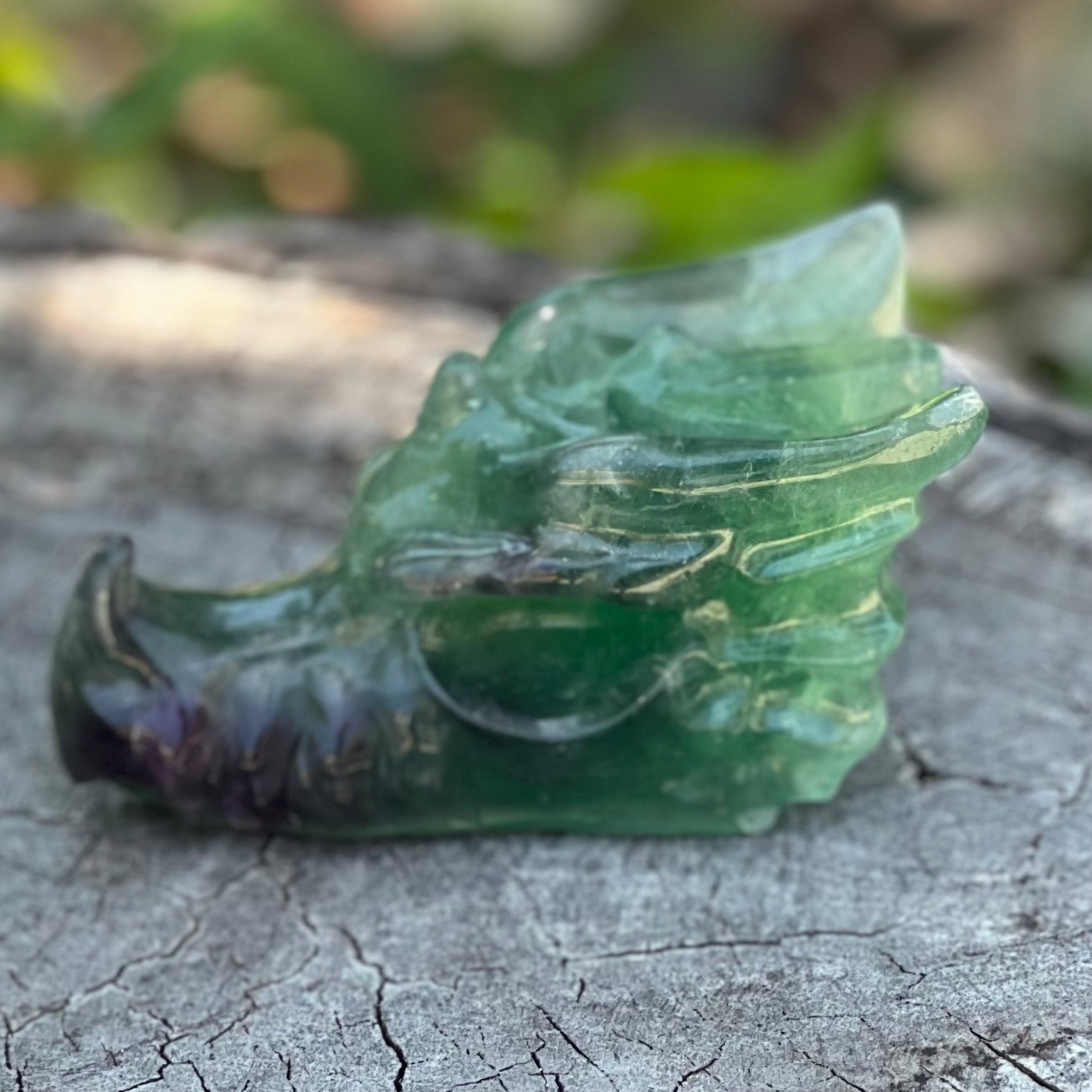 Rainbow Fluorite Dragon Head