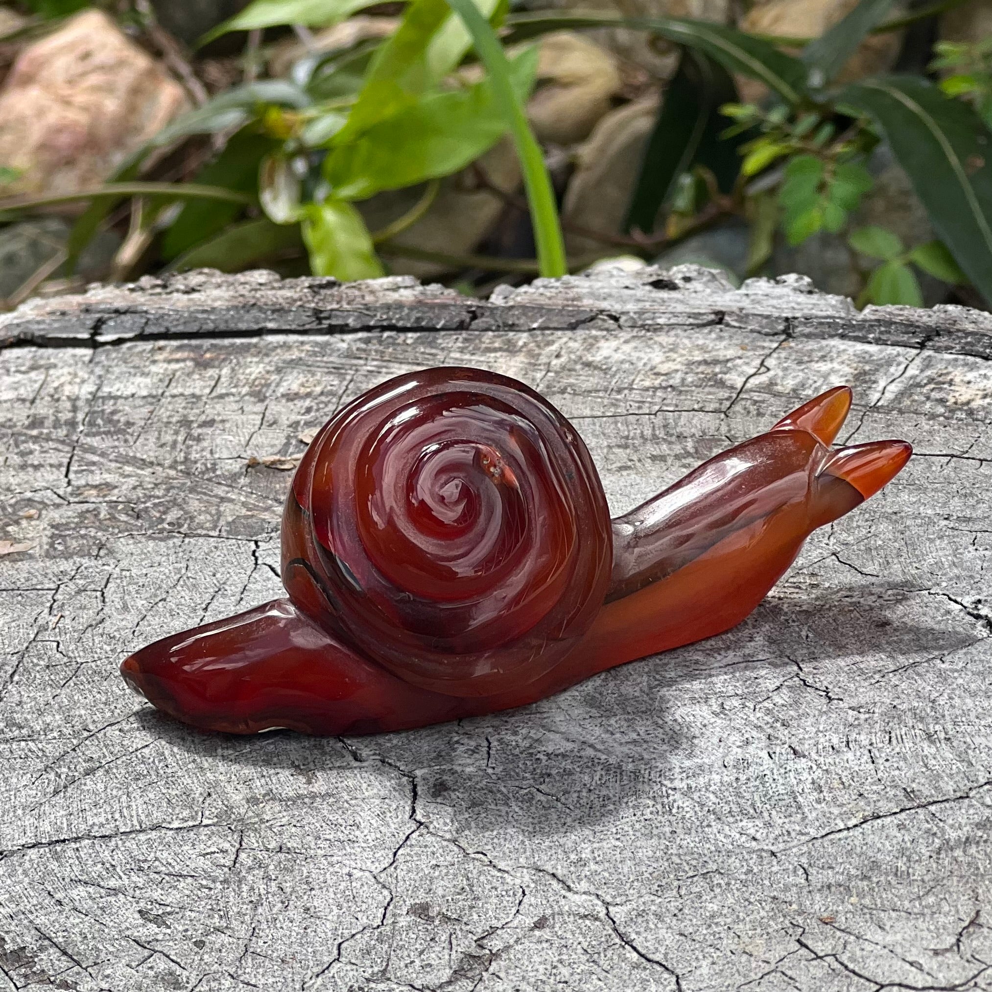 Carnelian ~ Snail of Courage