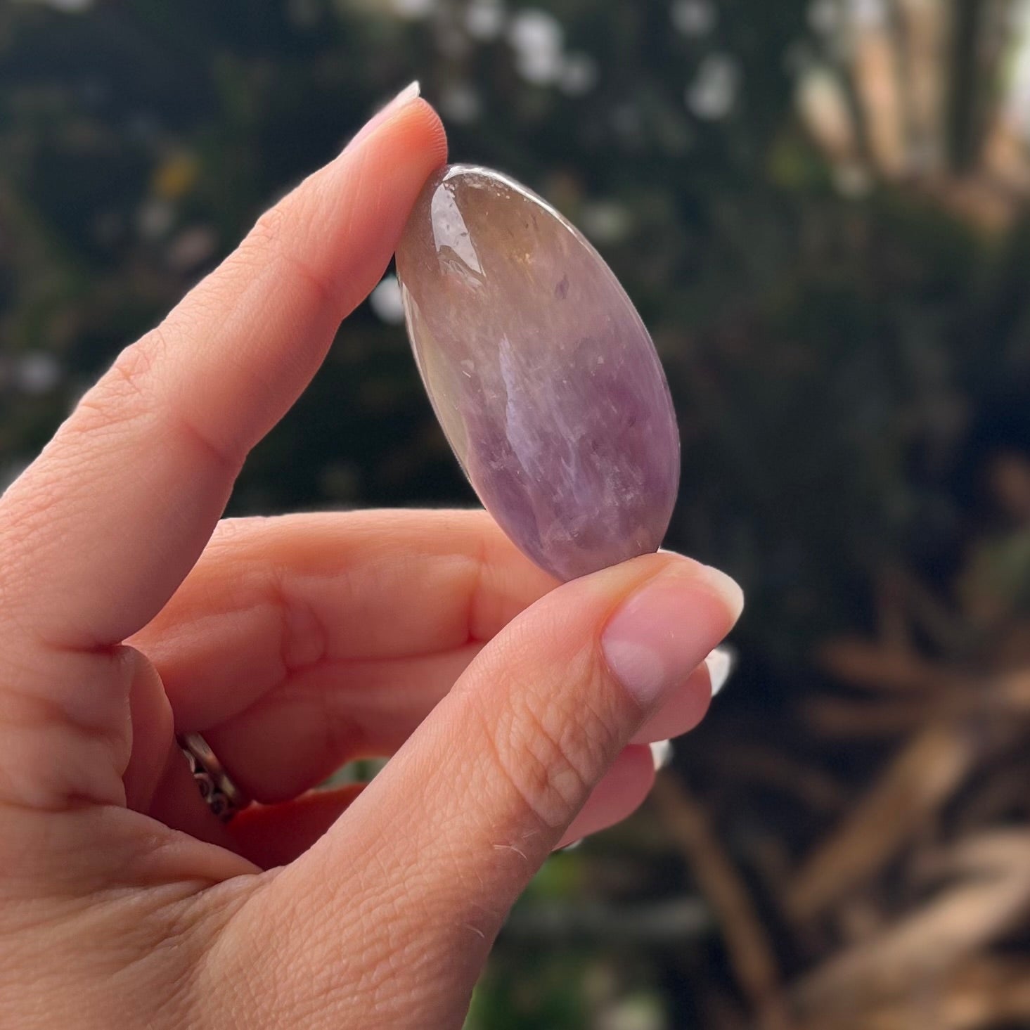 Ametrine  ~ Specialty Boxed Crystal ~ 6
