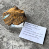 Boulder Opal Specimen ~ Specialty Boxed Crystal