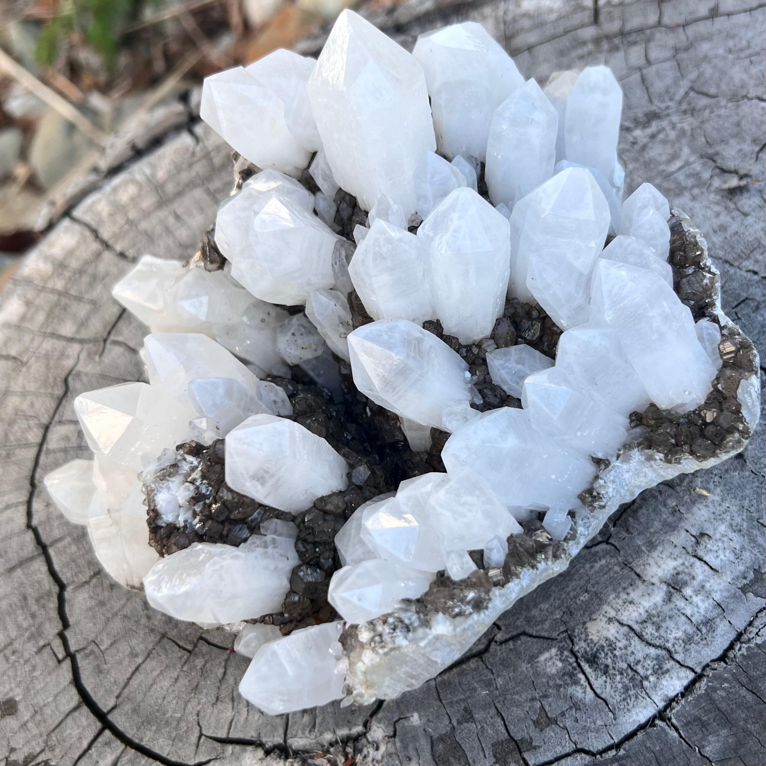 Clear & Smoky Quartz Natural Raw Cluster