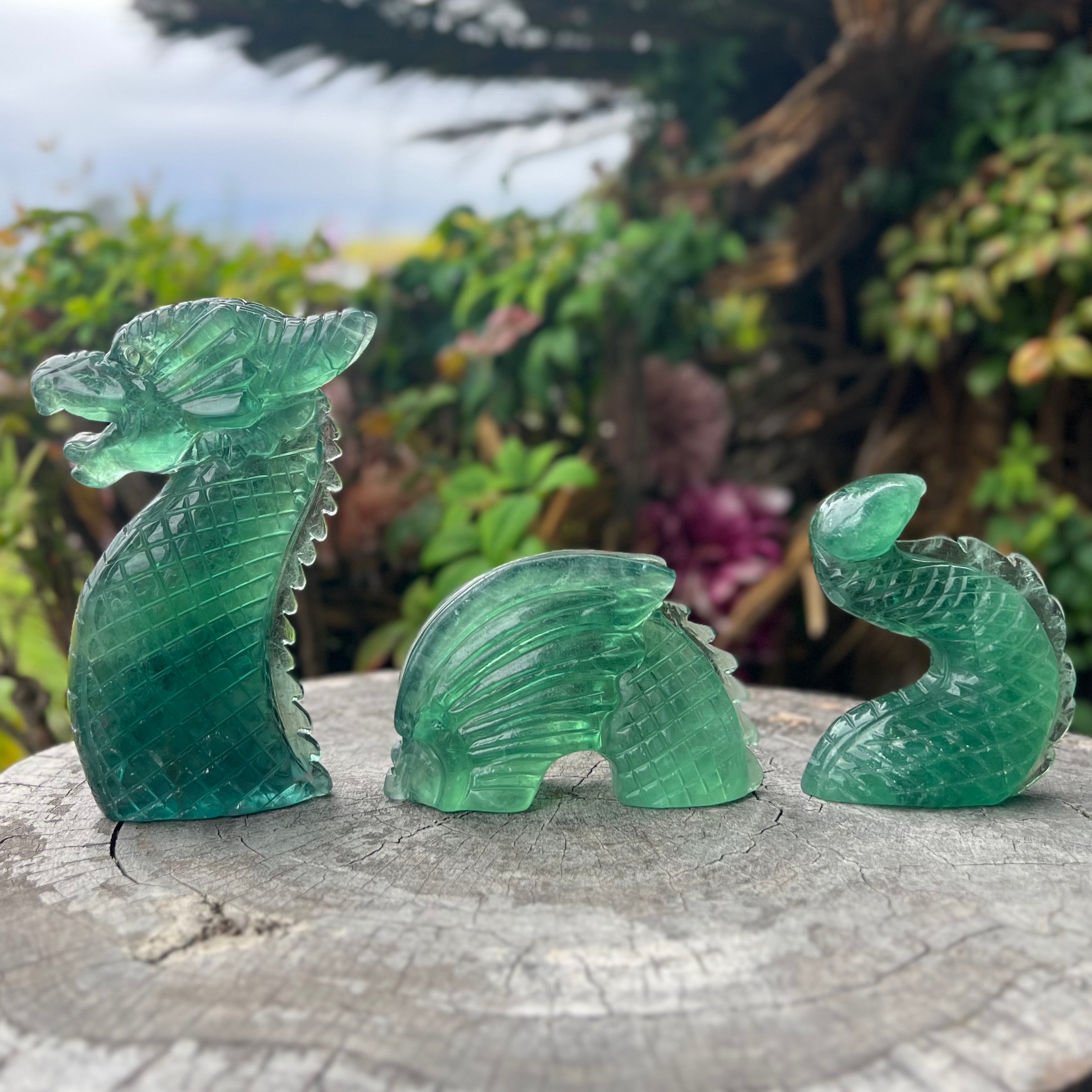 Green Fluorite Sea Dragon Carving ~ 3 Piece Set
