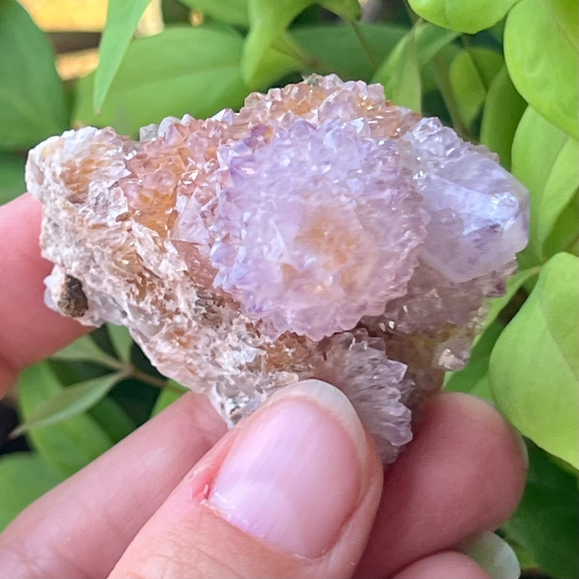 Spirit Quartz Cluster ~ Specialty Crystal