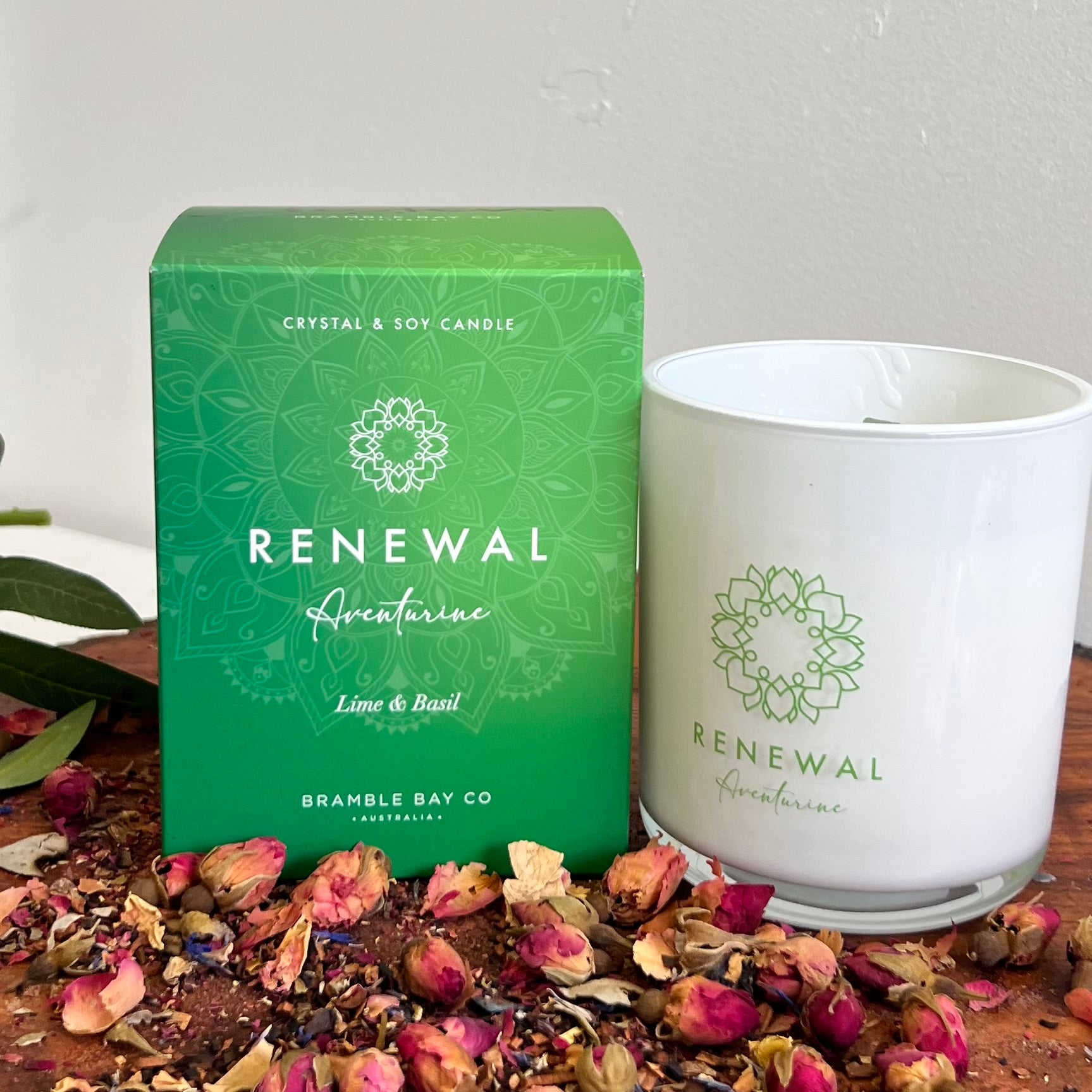 Boho Crystal Renewal Candle ~ Aventurine ~
Lime & Basil
