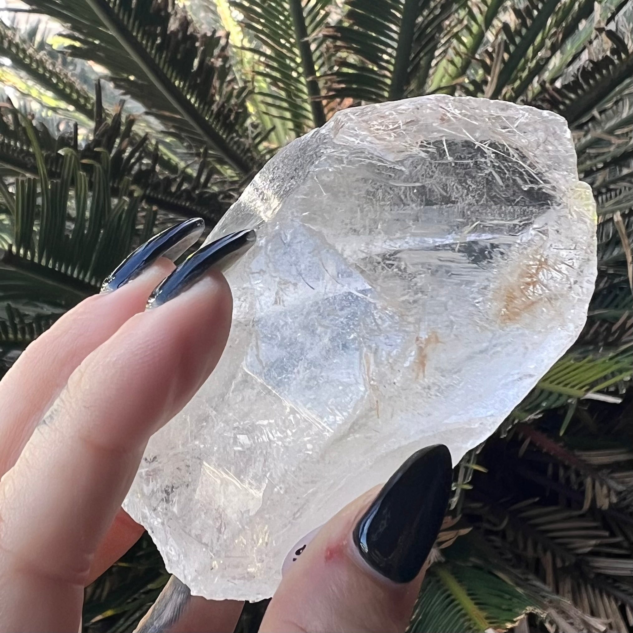 Raw Lumerian Seed Specimen with Phantom