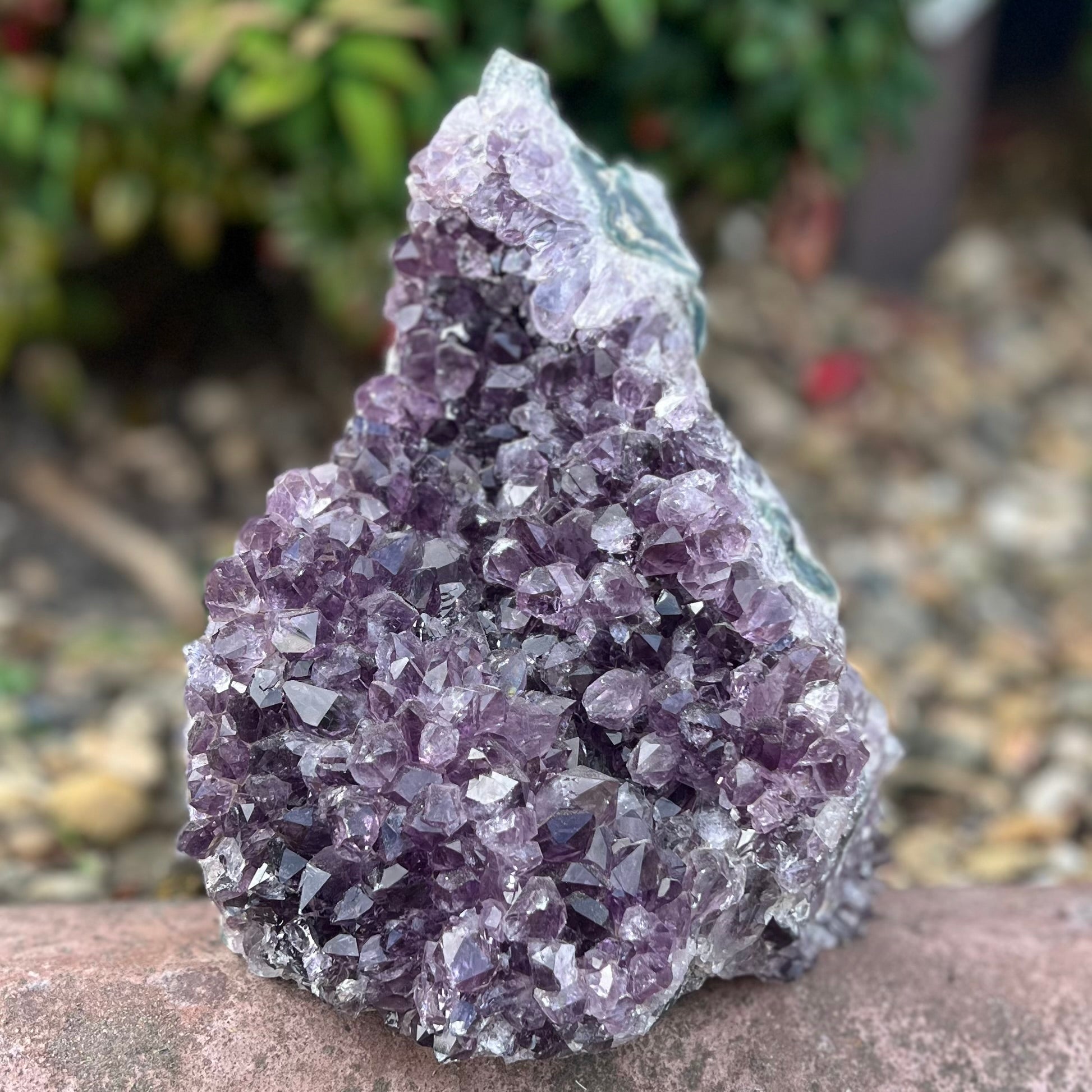 Amethyst Cluster