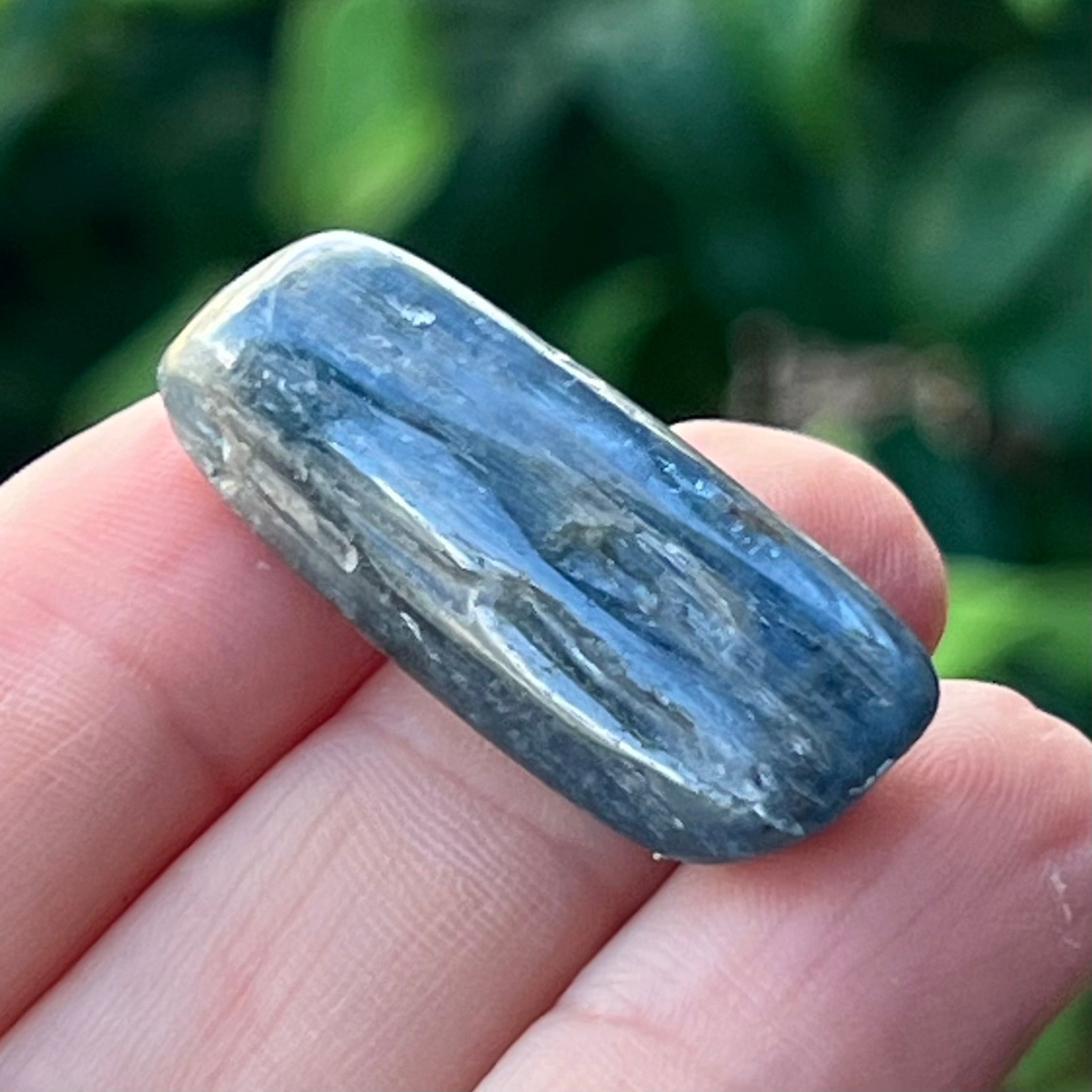 Kyanite Specimen ~ Specialty Boxed Crystal