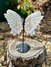 Agate Butterfly Wing Carving on Stand