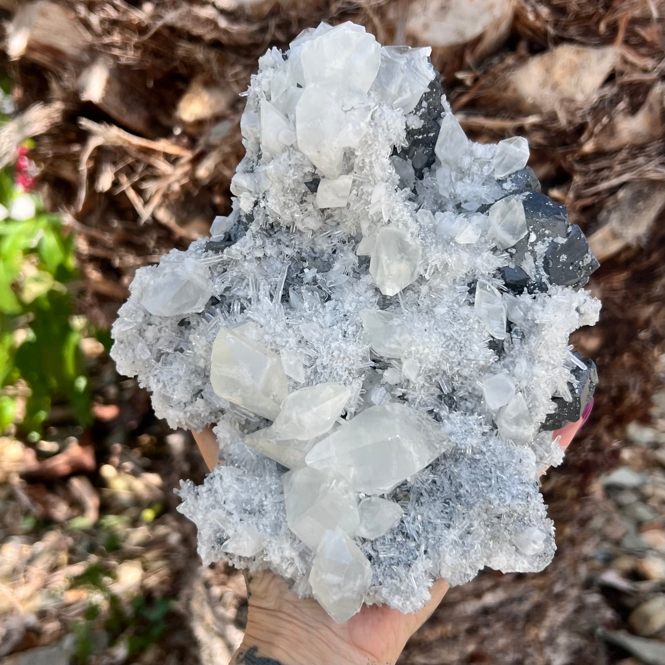 Natural Apophyllite on Black Tourmaline Cluster