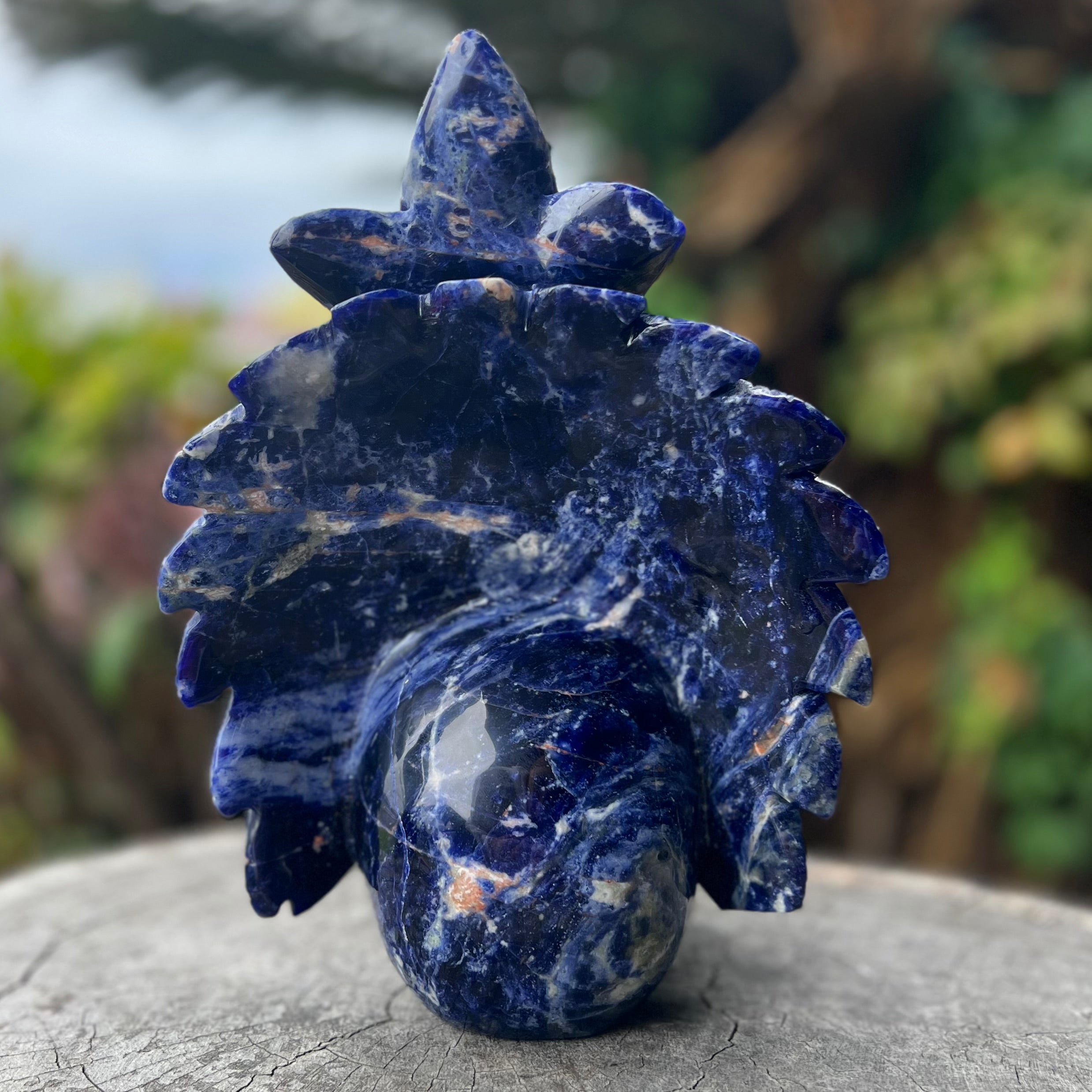 Sodalite Warrior Skull with Headdress Carving