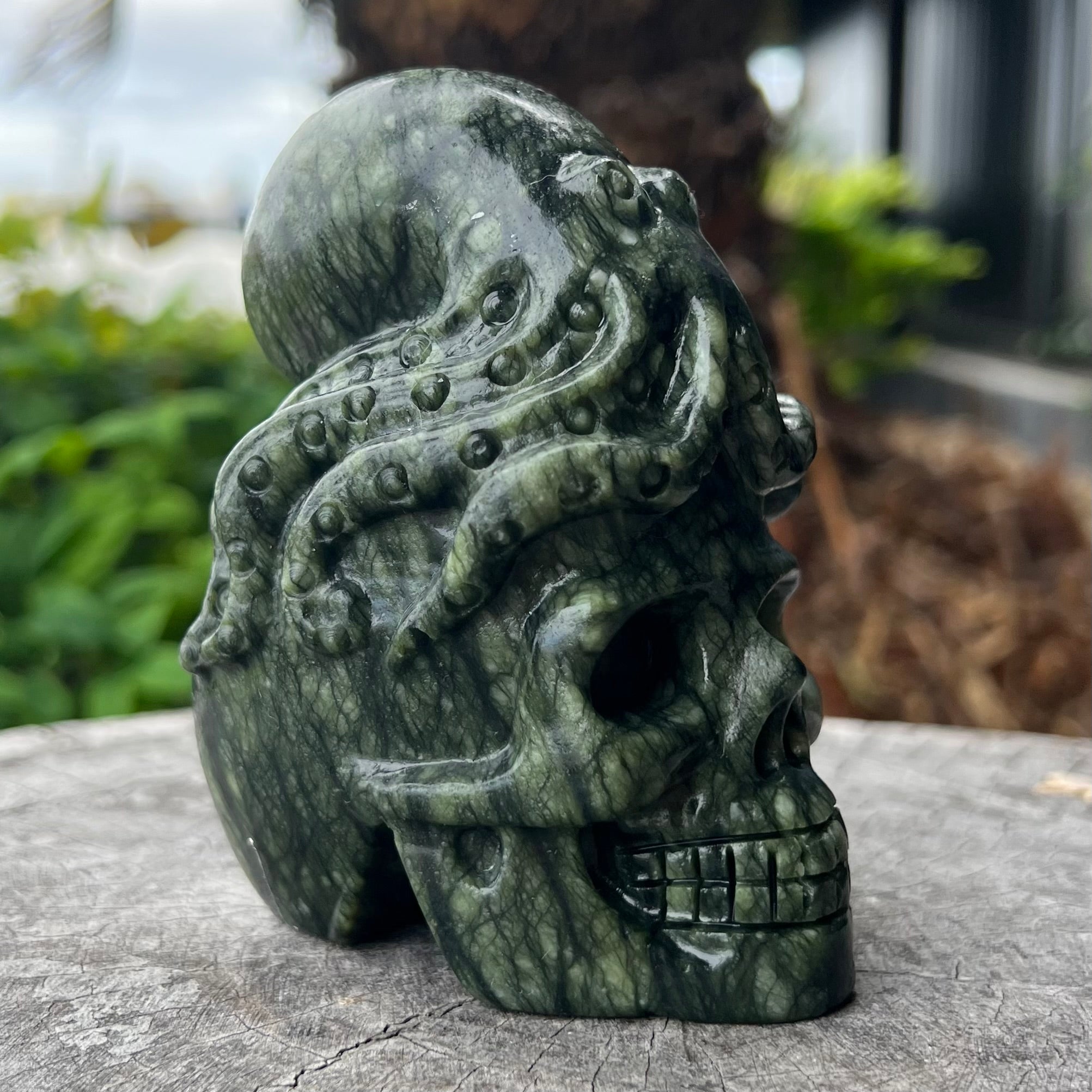 Kambaba Jasper Octopus Skull Carving