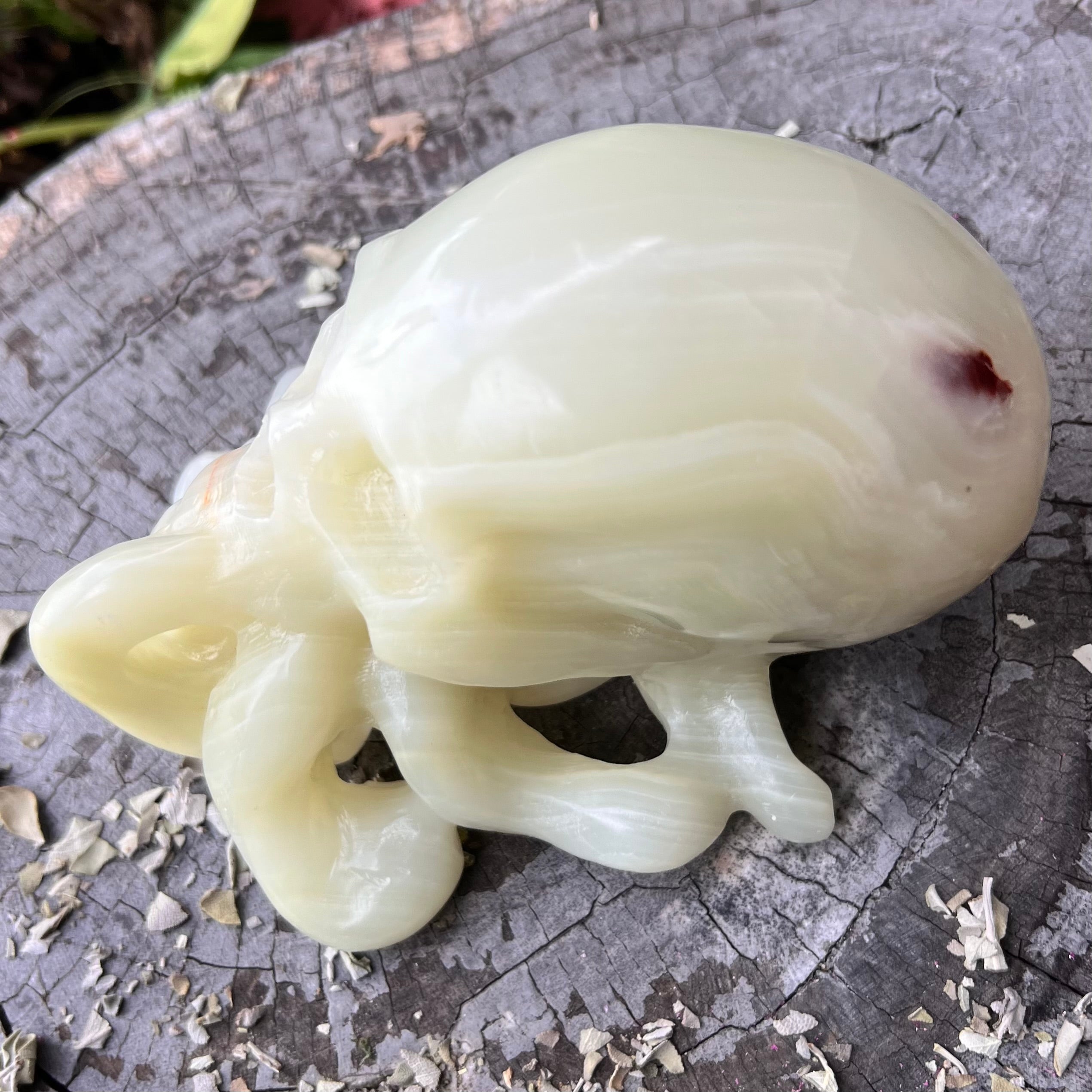 Afghanistan Jade ~ Octopus