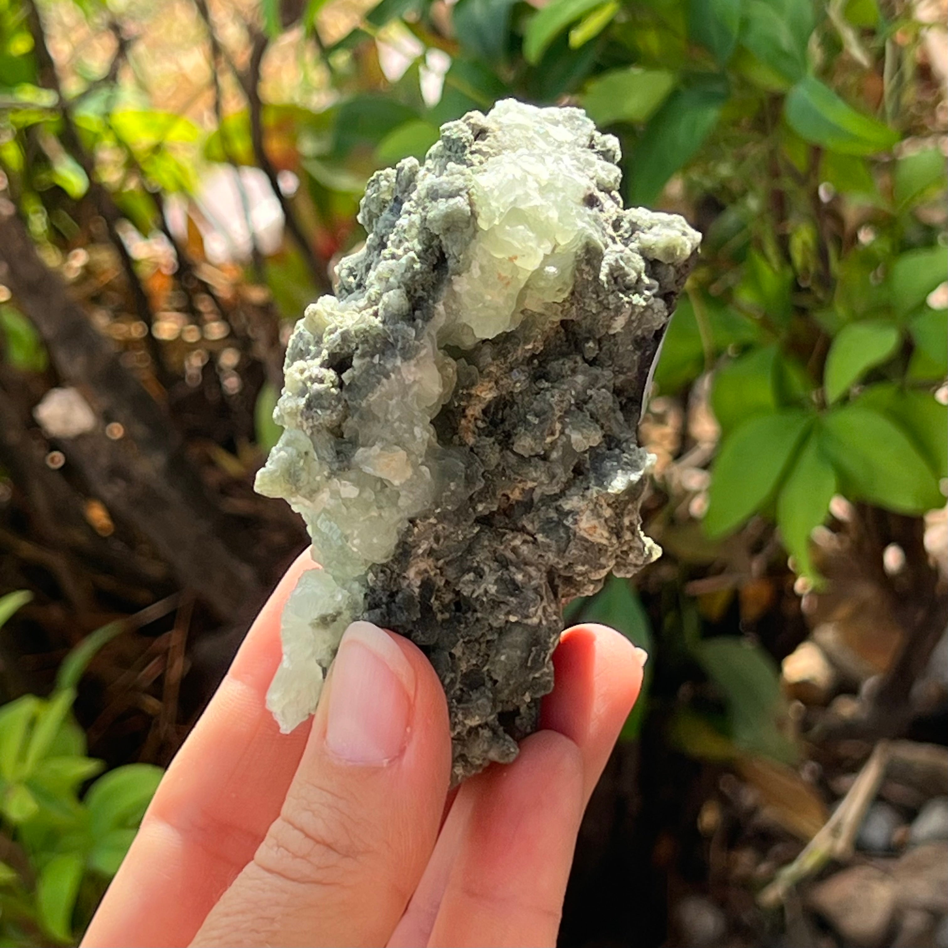 Prehnite ~ Specialty Crystal