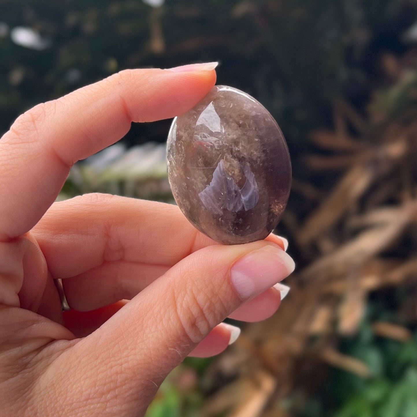 Ametrine  ~ Specialty Boxed Crystal ~ 7