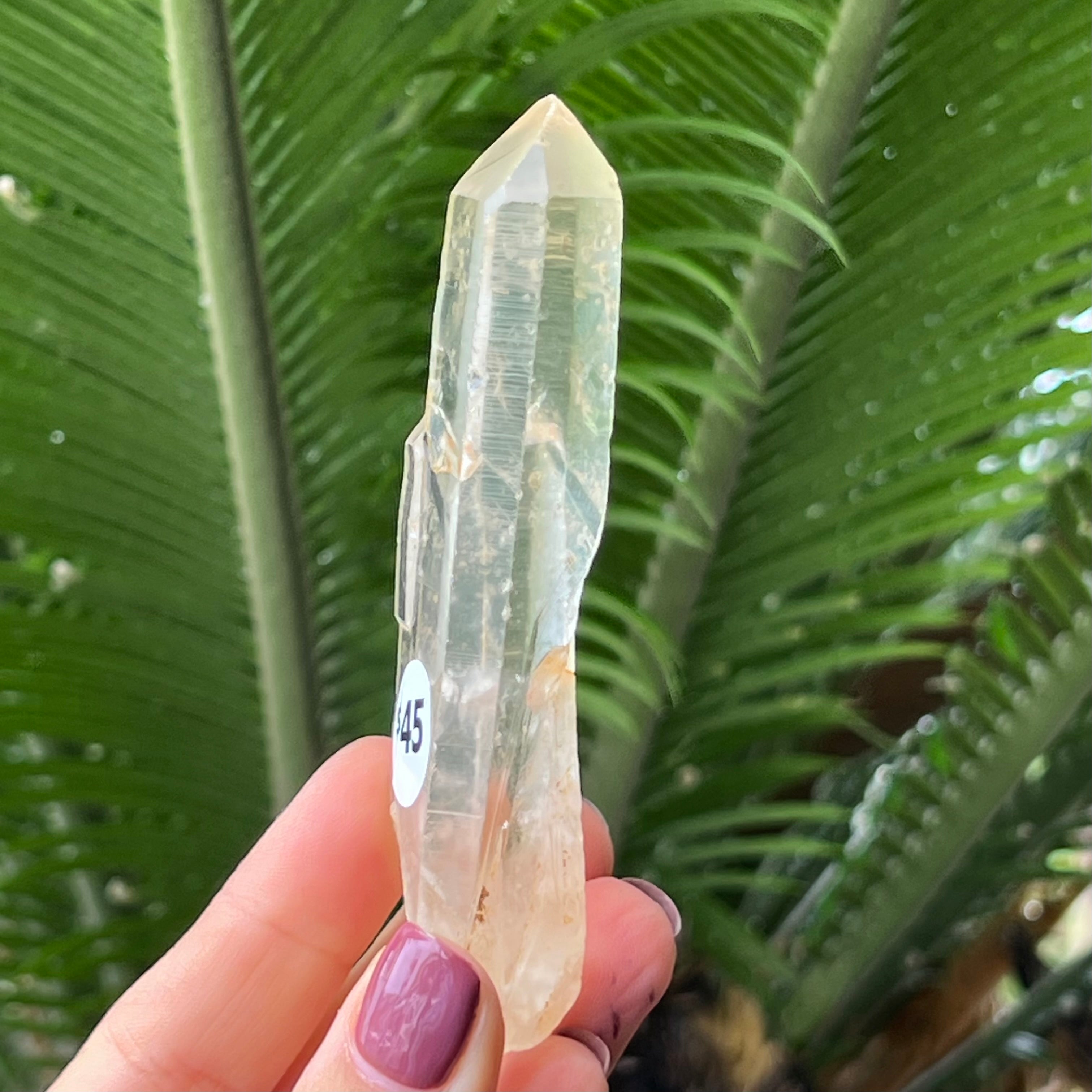 Semi Raw Lumerian Specimen