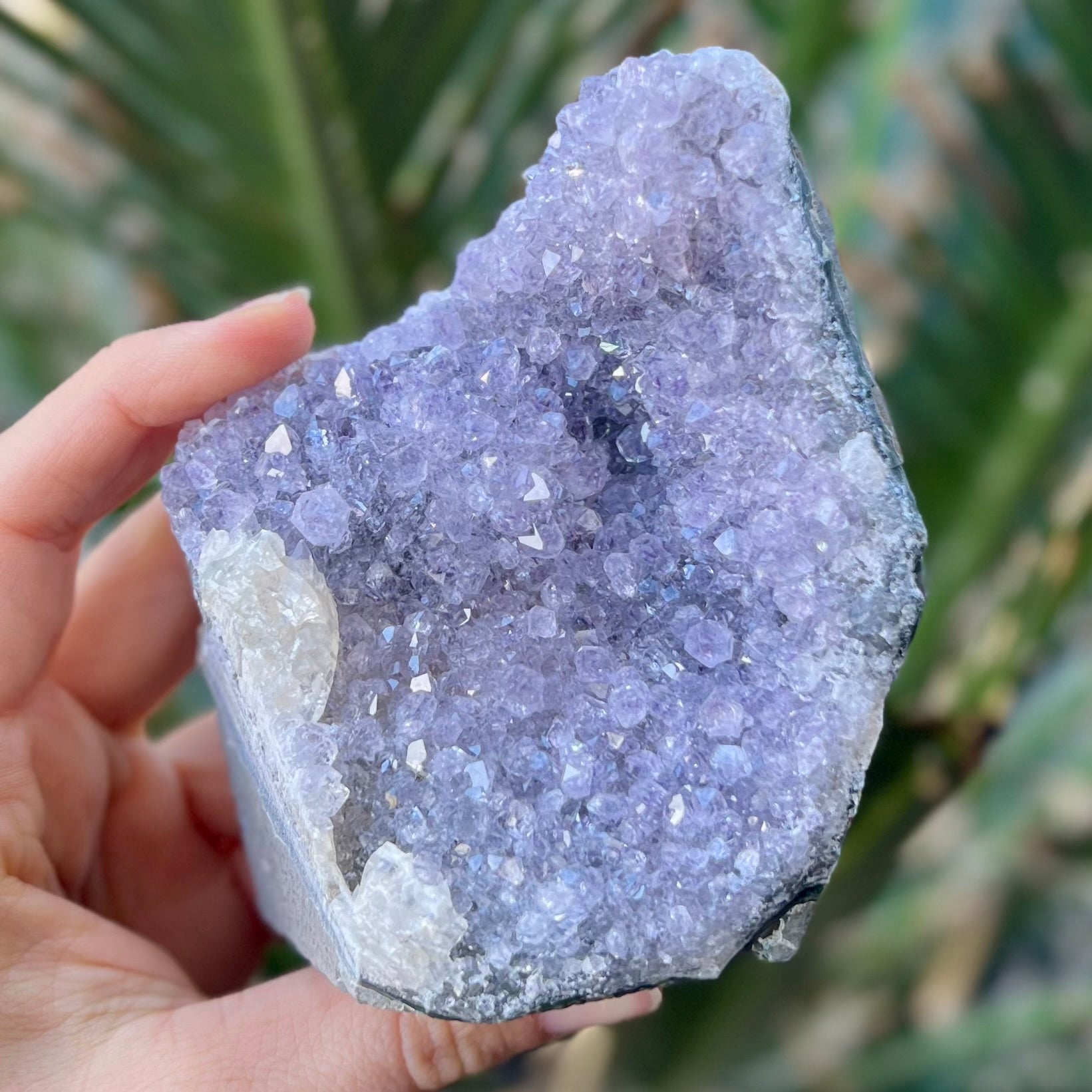 Amethyst Standing Cluster