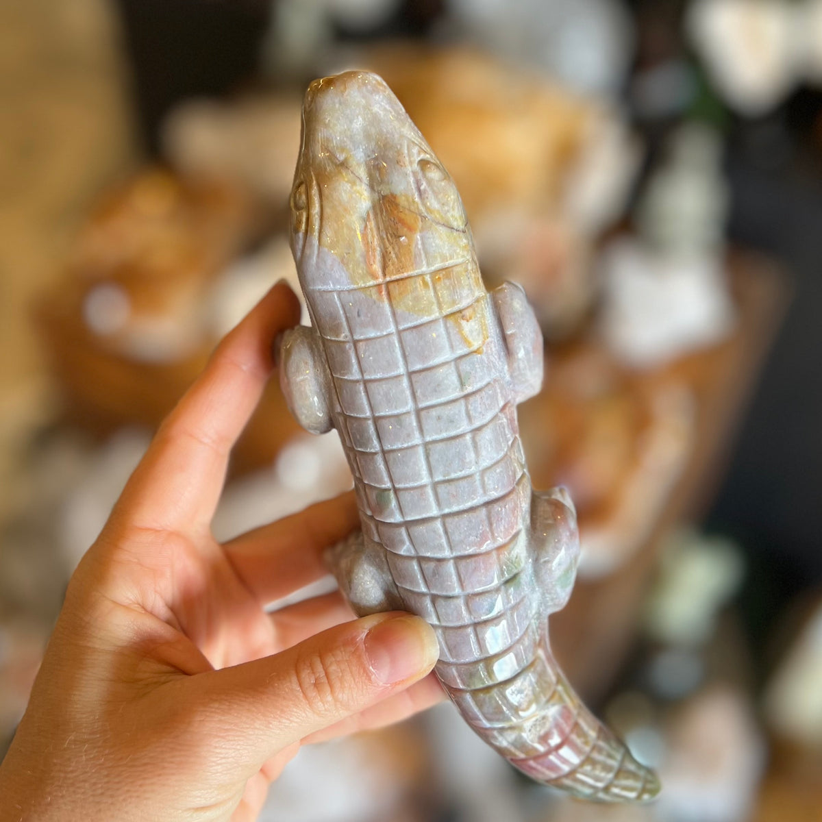 Ocean Jasper ~ Crocodile