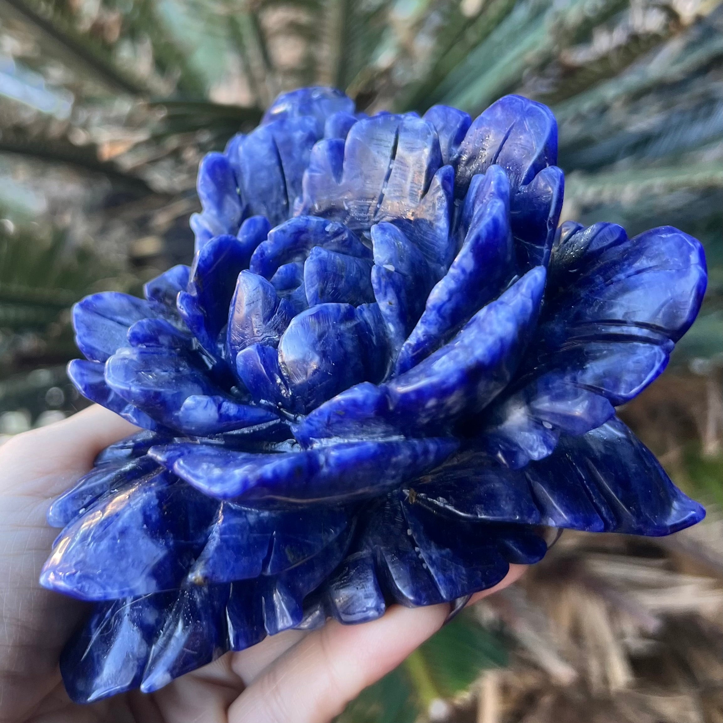 Sodalite ~ Rose Carving