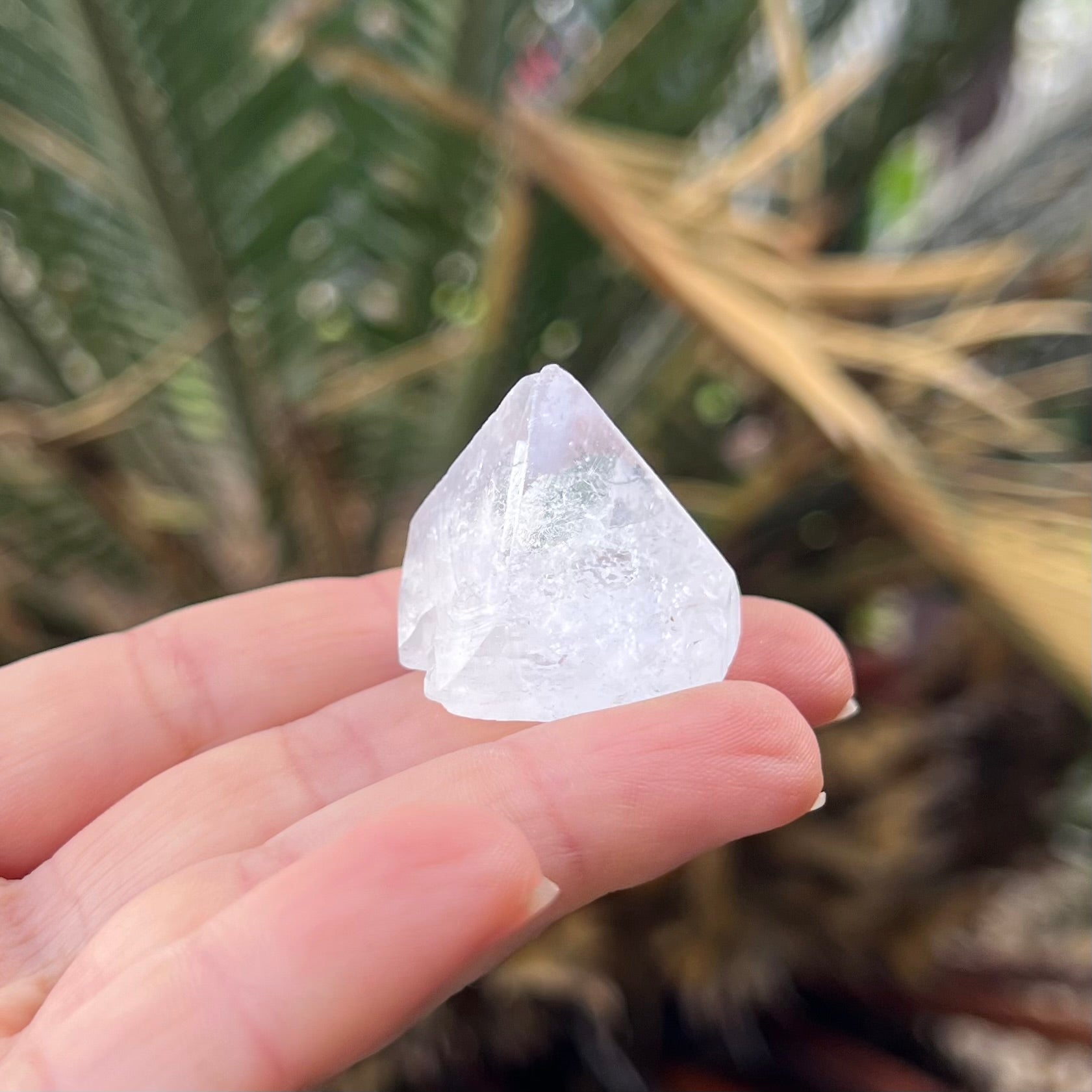 Apophyllite Pyramid ~ Specialty Crystal