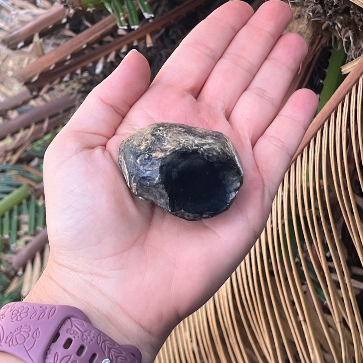 Apache Tears ~ Specialty Crystal