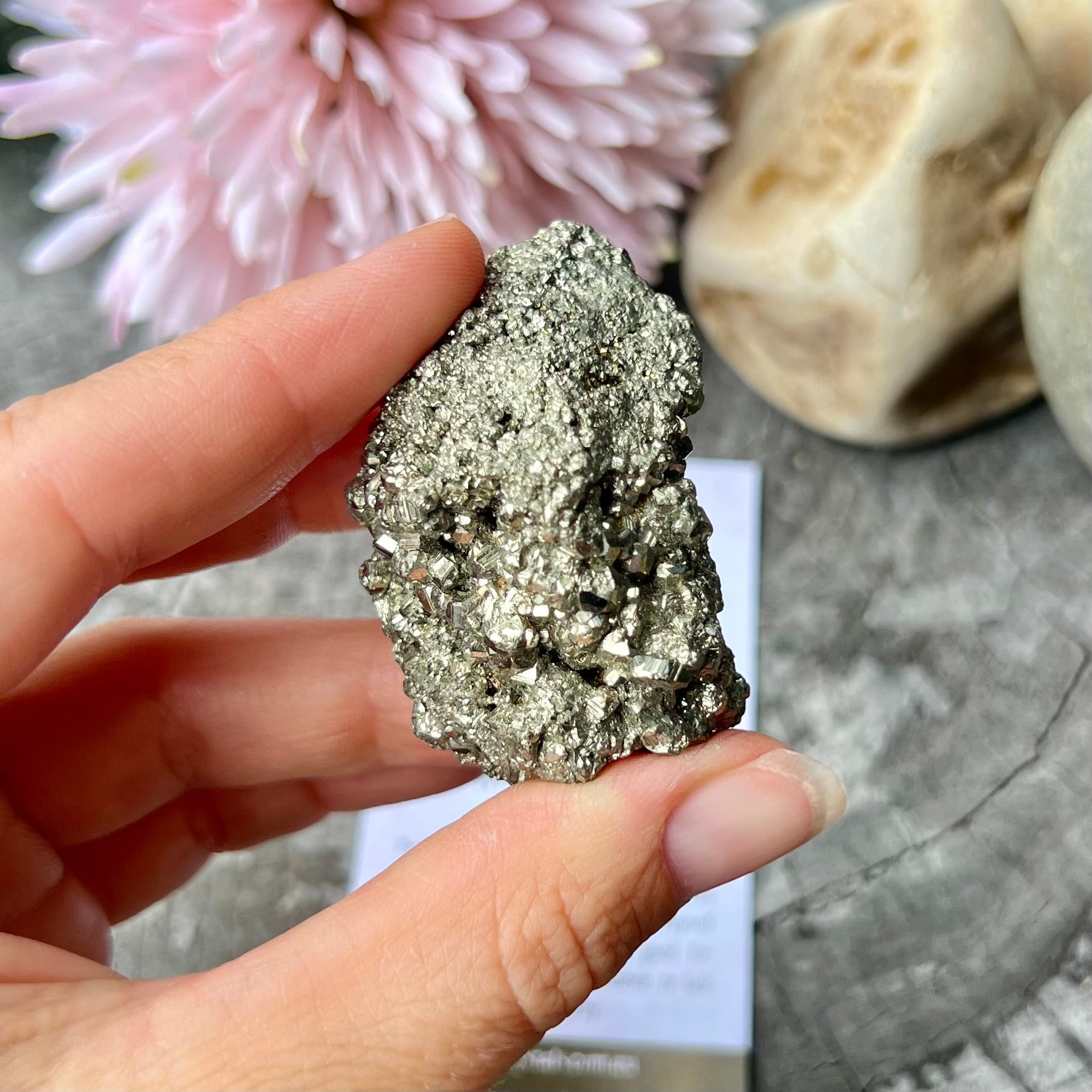 Pyrite Specimen ~ Specialty Boxed Crystal (2)
