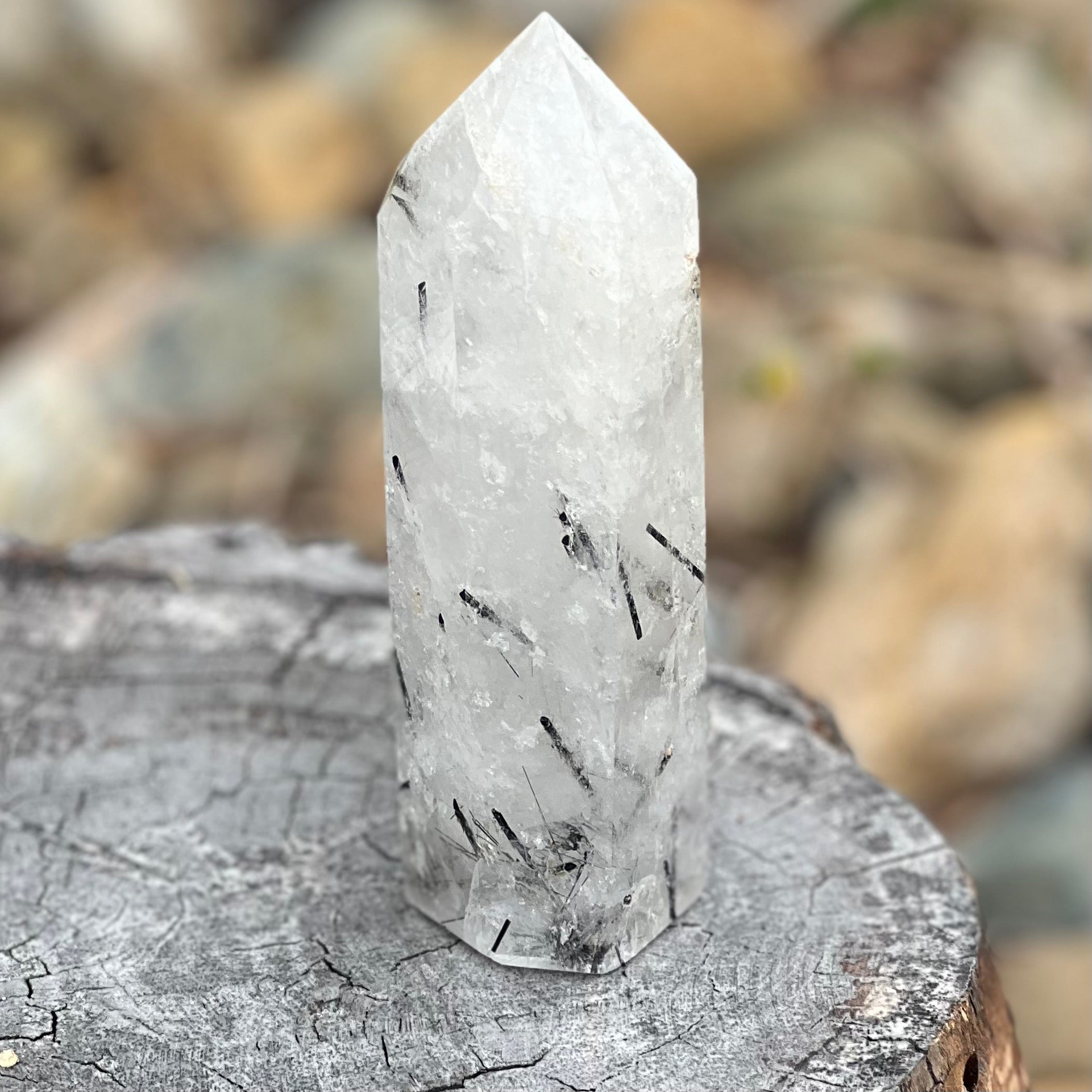 Black Tourmaline in Clear Protective Generator Quartz Tower