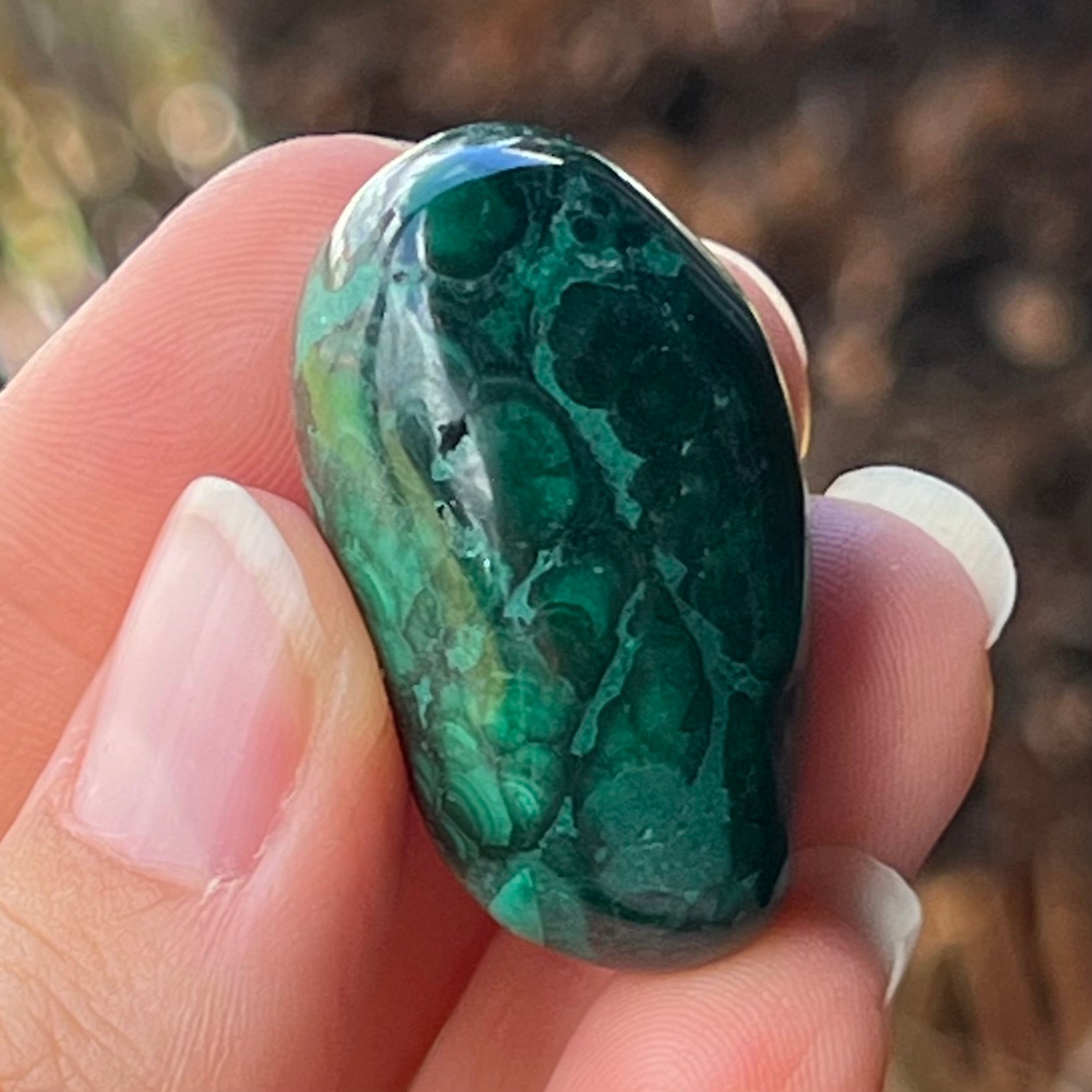 Malachite ~ Specialty Boxed Crystal (2)