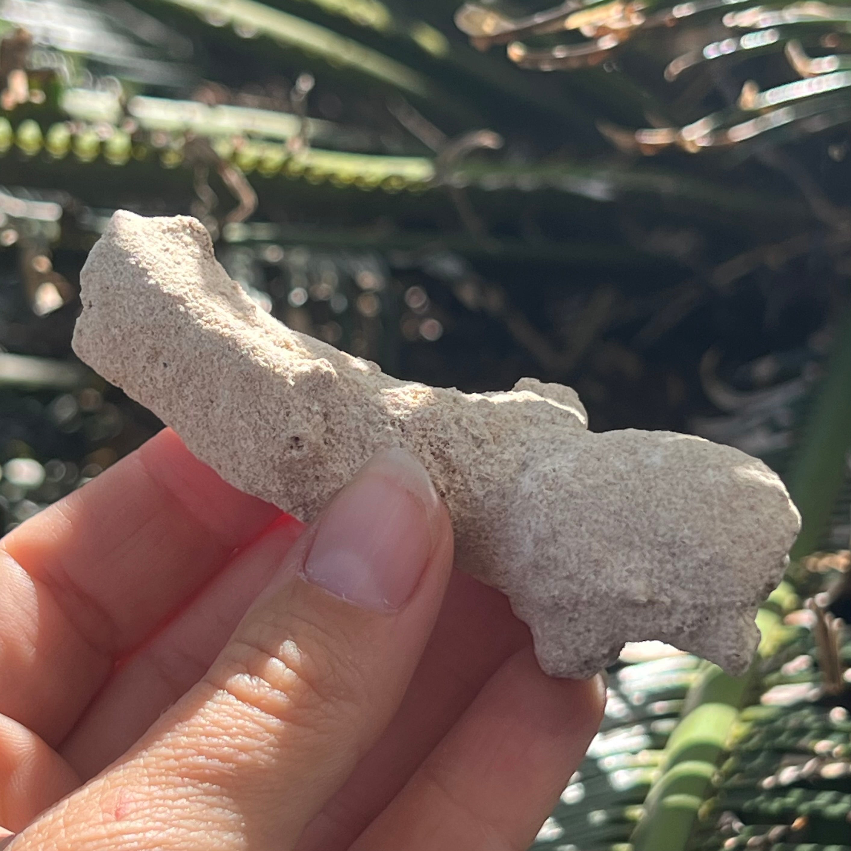 Fulgurite – Petrified Lightning in Your Hands