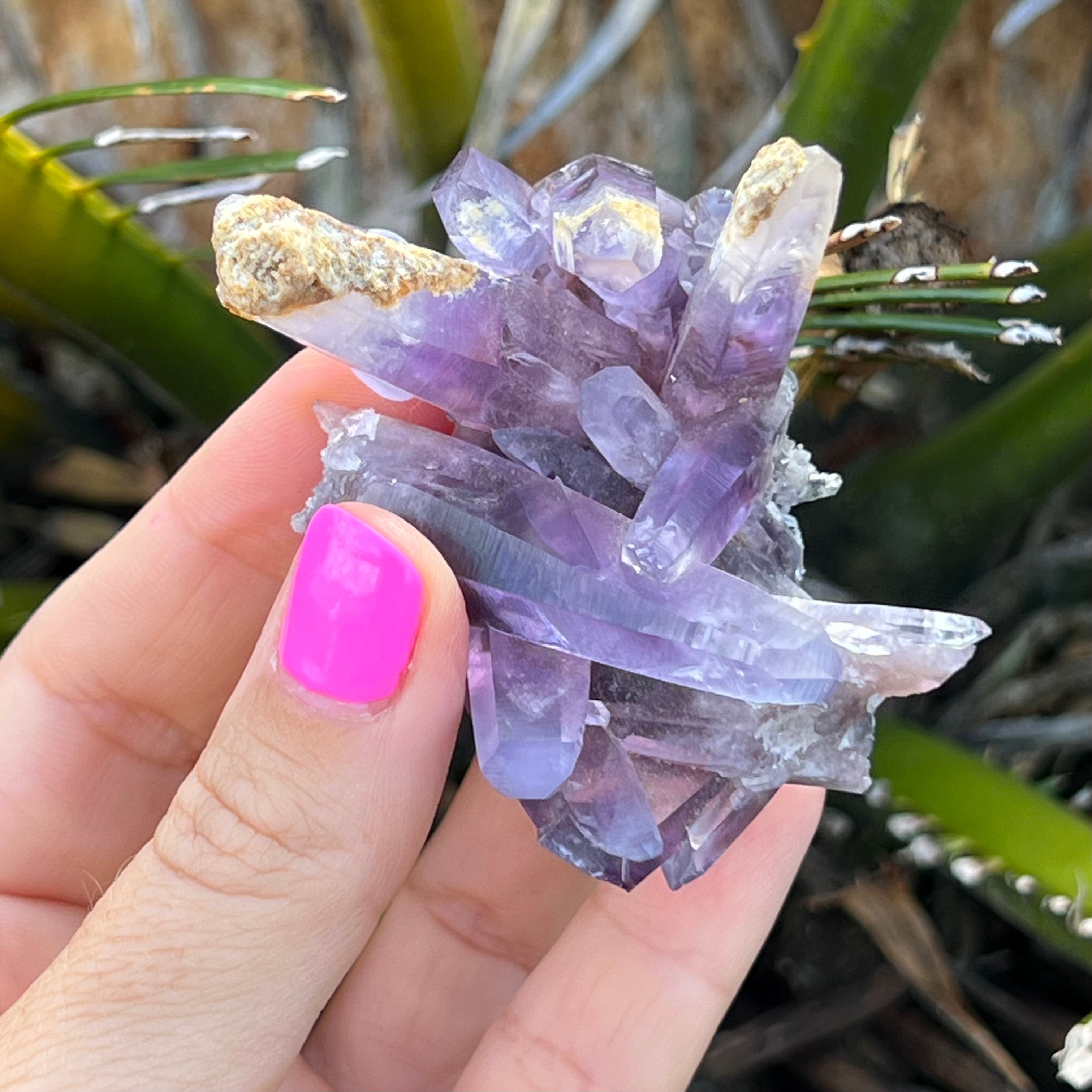 Vera Cruz Amethyst
