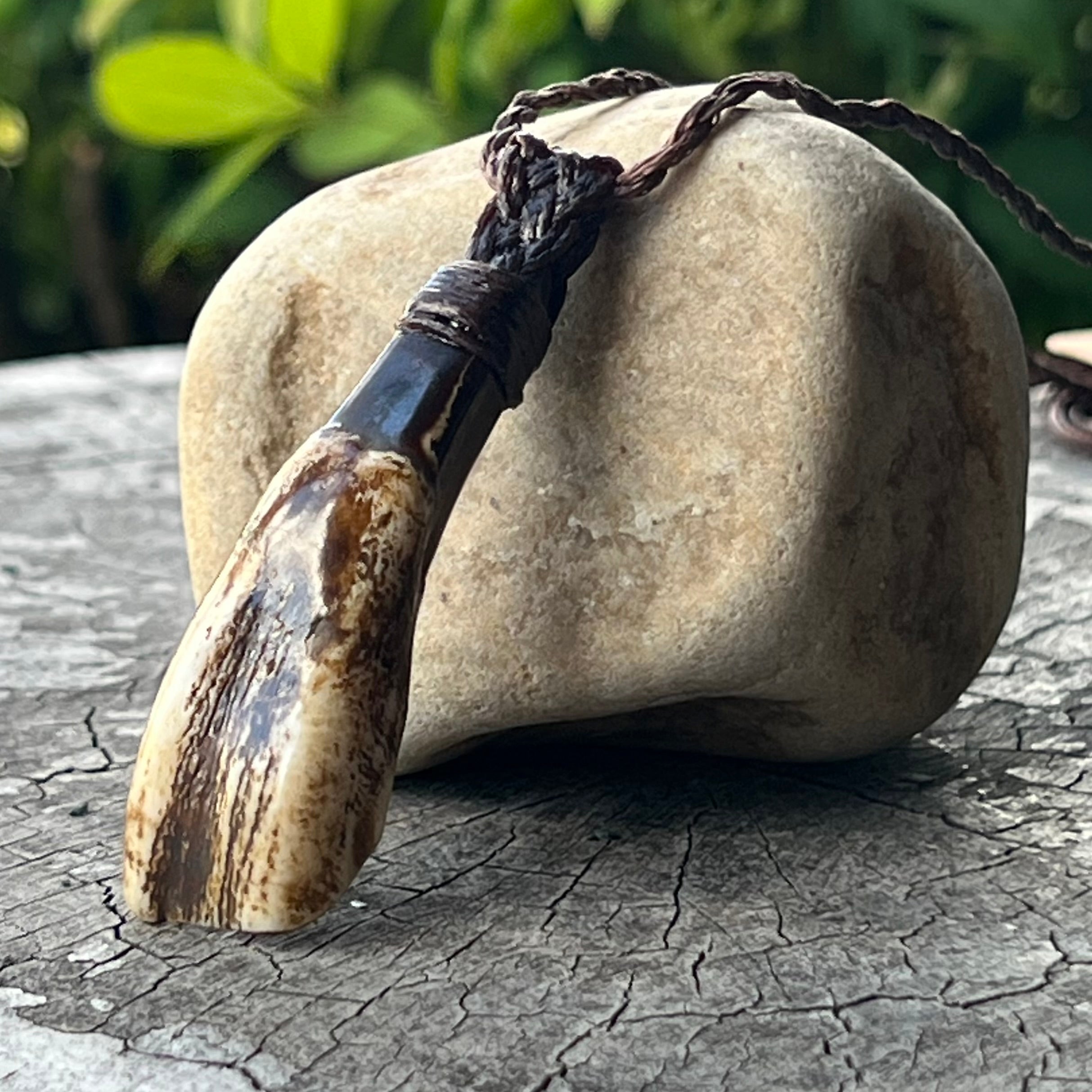 Muse Medicine ~ Buffalo Tooth Totem ~ Talisman