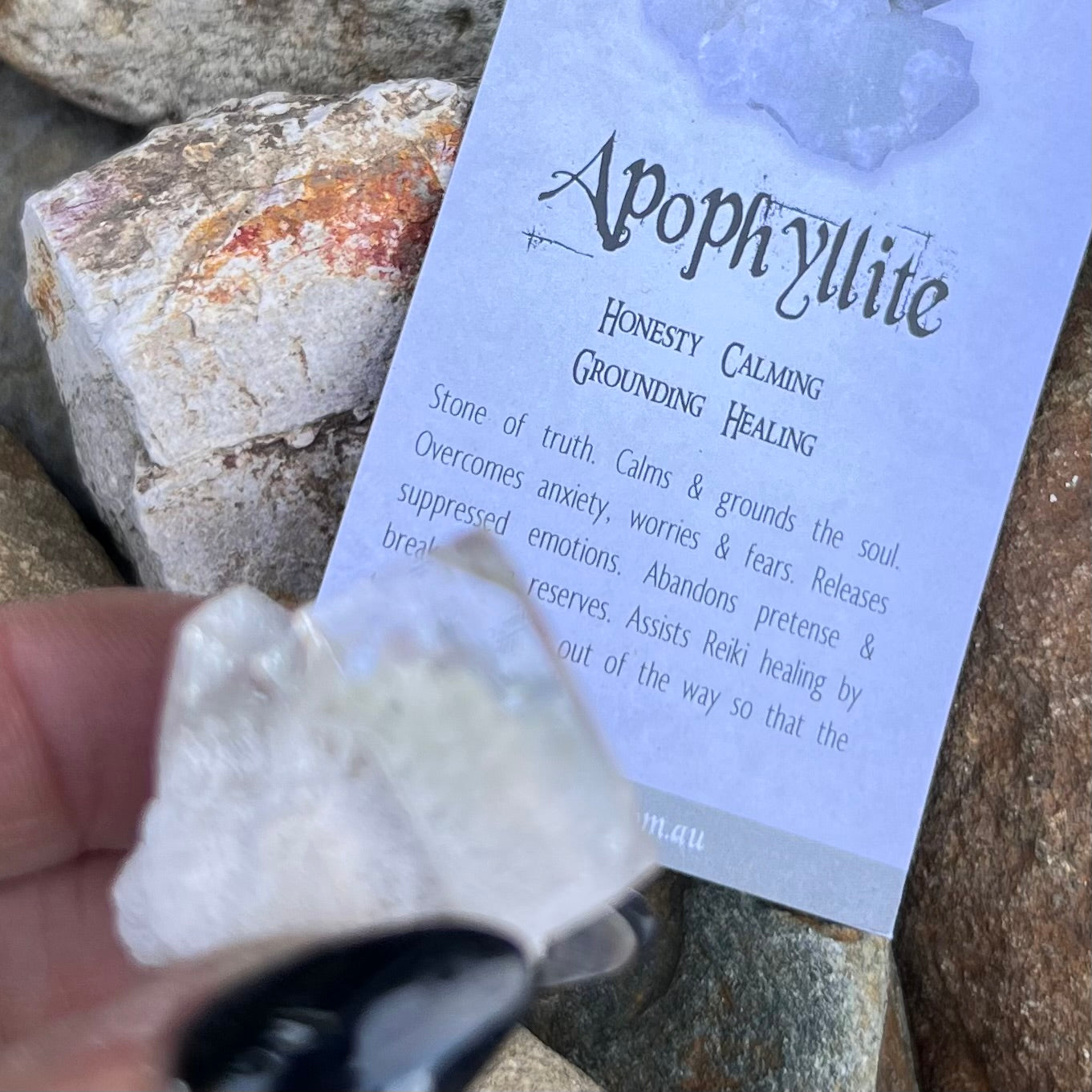 Appophylite Cluster ~ Specialty Boxed Crystal