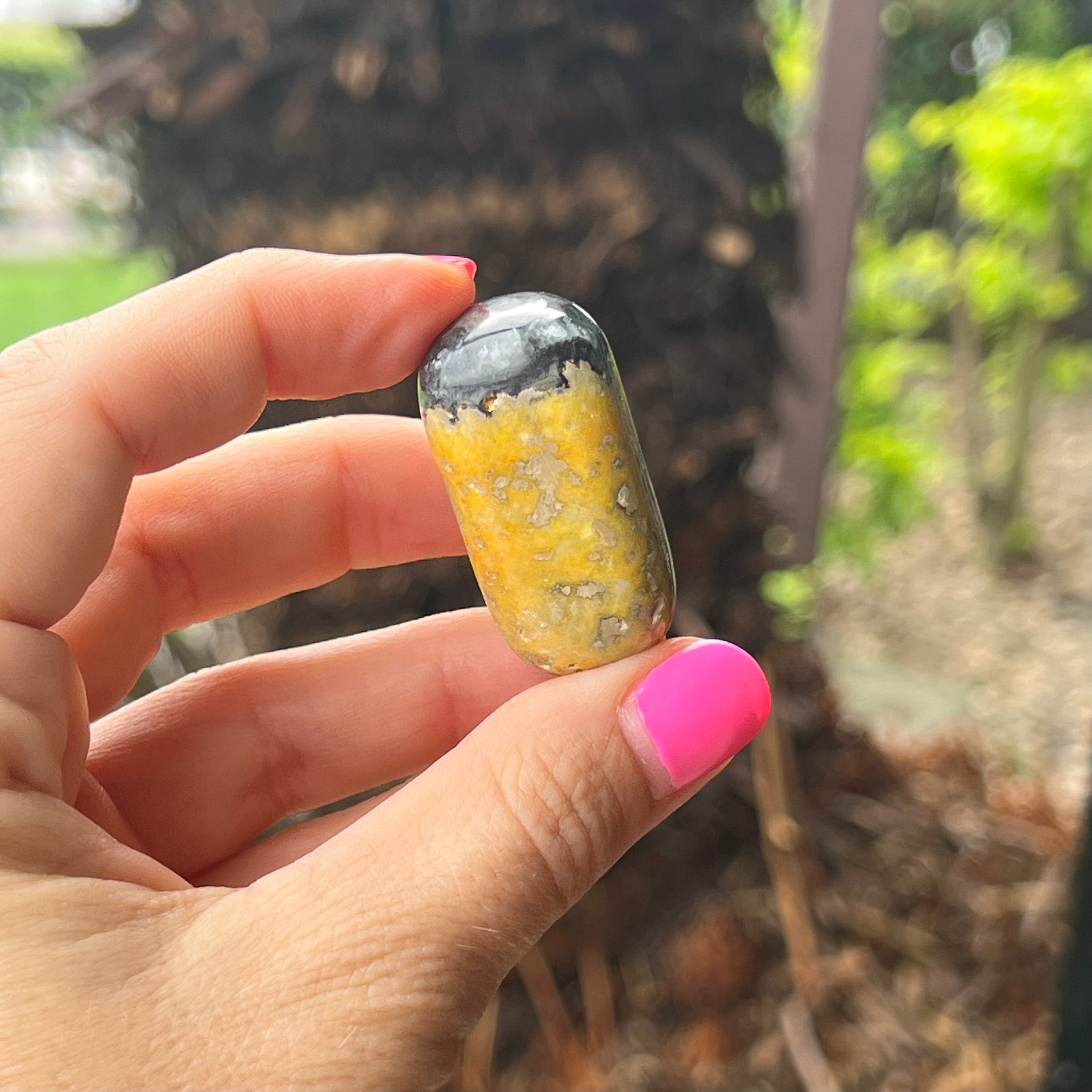 Bumble Bee ~ Specialty Boxed Crystal