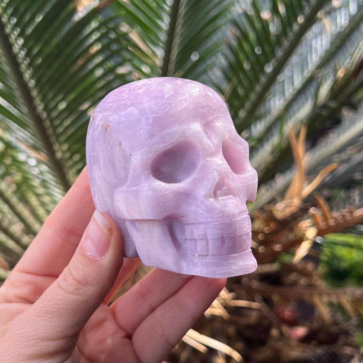 Kunzite Skull ~ Specialty Crystal Carving