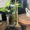 Boho Jungle ~ Vintage Brass Pillar Candle Holder