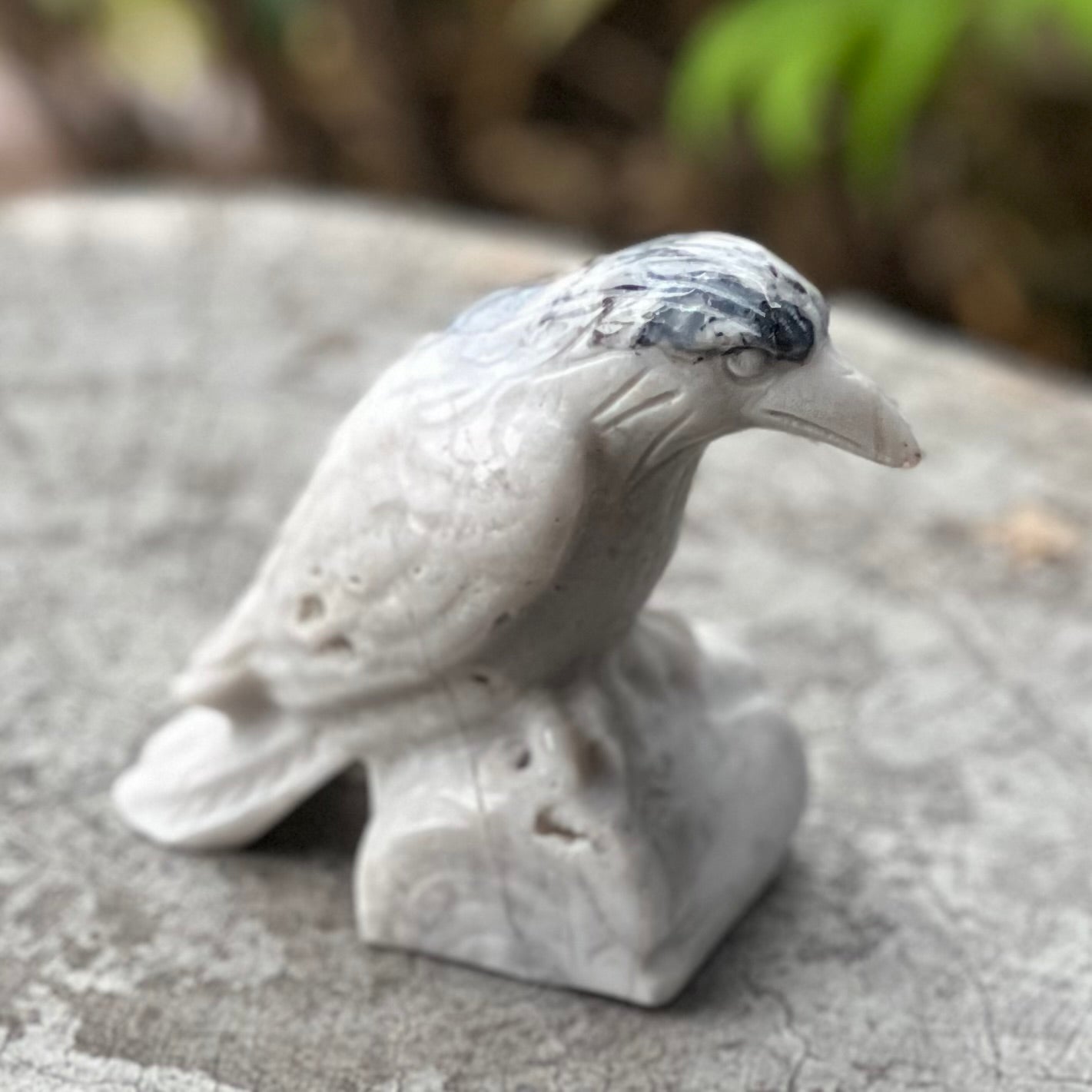 Raven Carving ~ Agate with Black Tourmaline