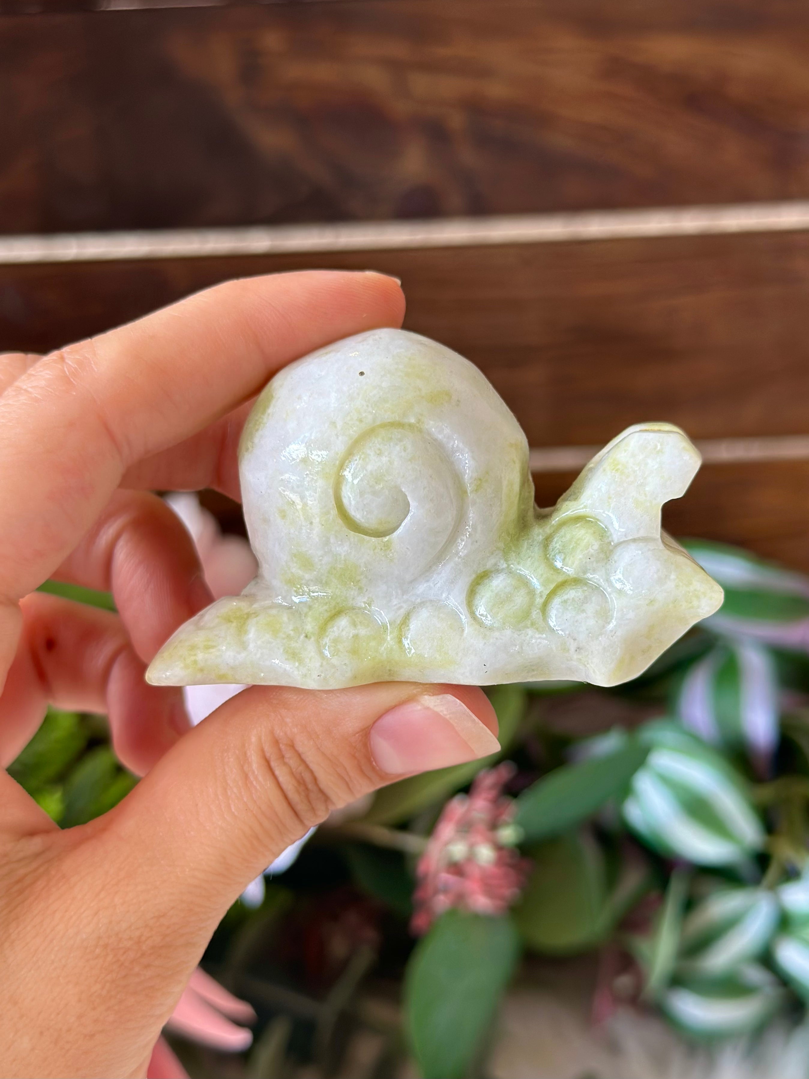 New Jade Snail - Muse Crystals & Mystical Gifts