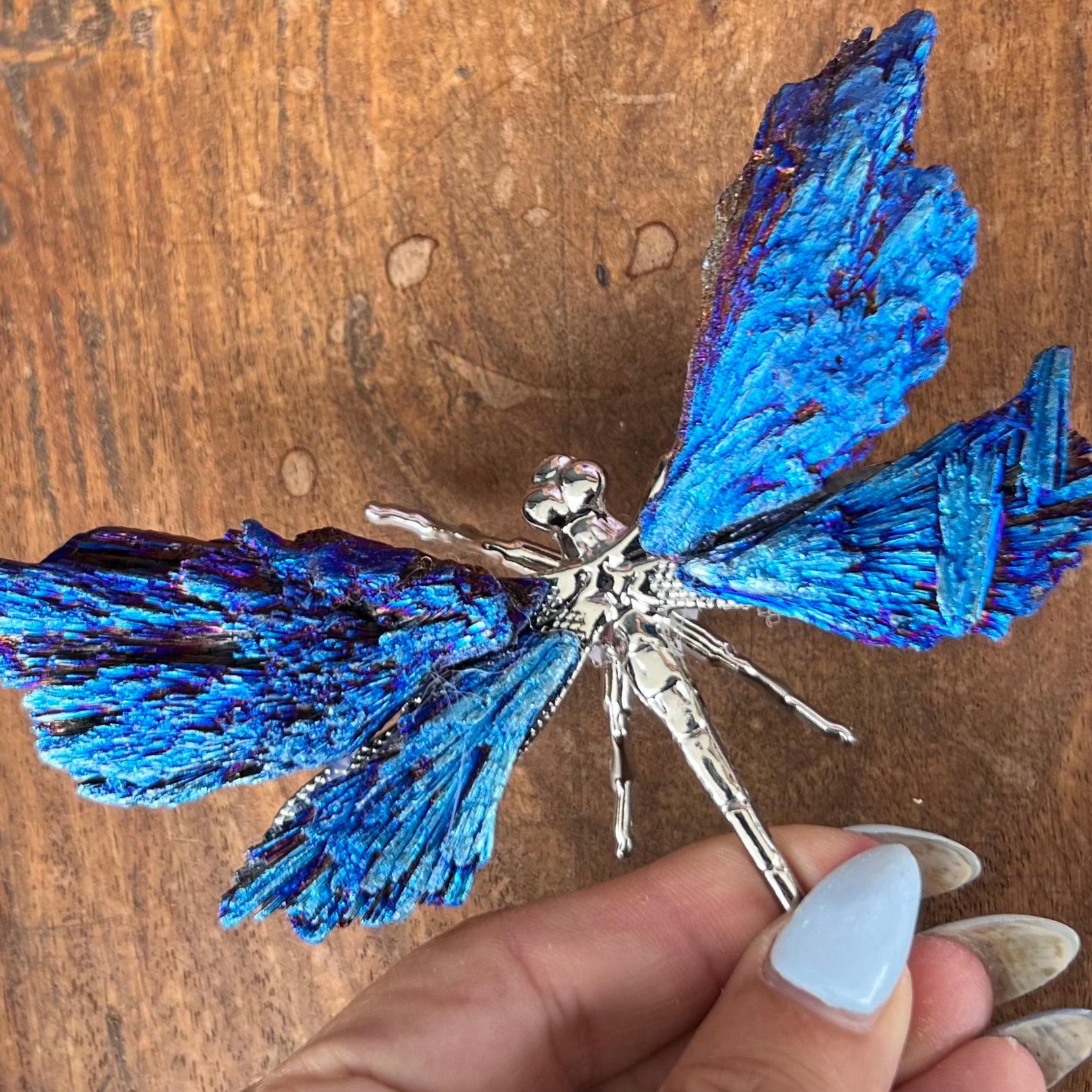 Dragon Fly ~ Blue Kyanite Electroplate