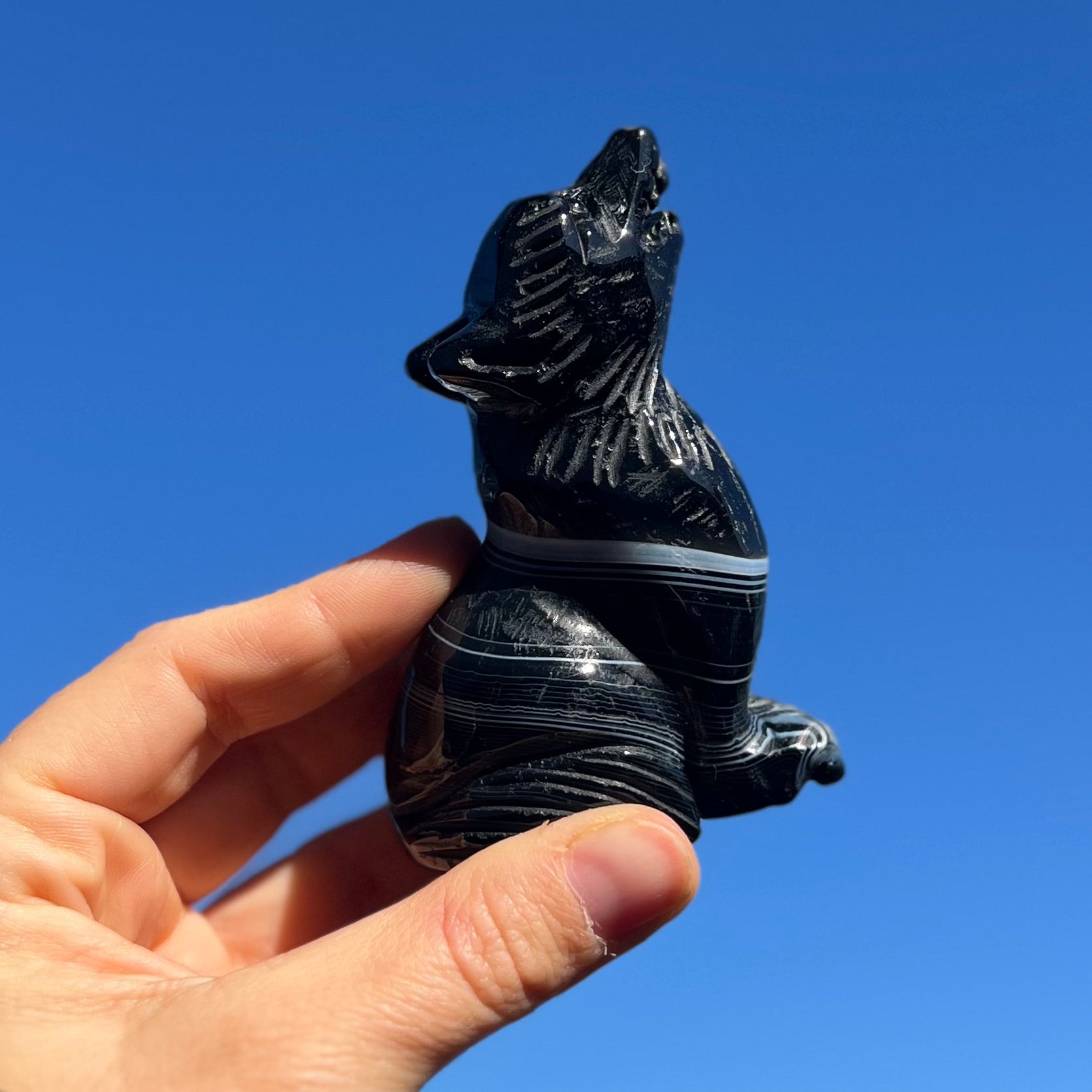 Black Agate ~ Wolf Carving ~ Medium