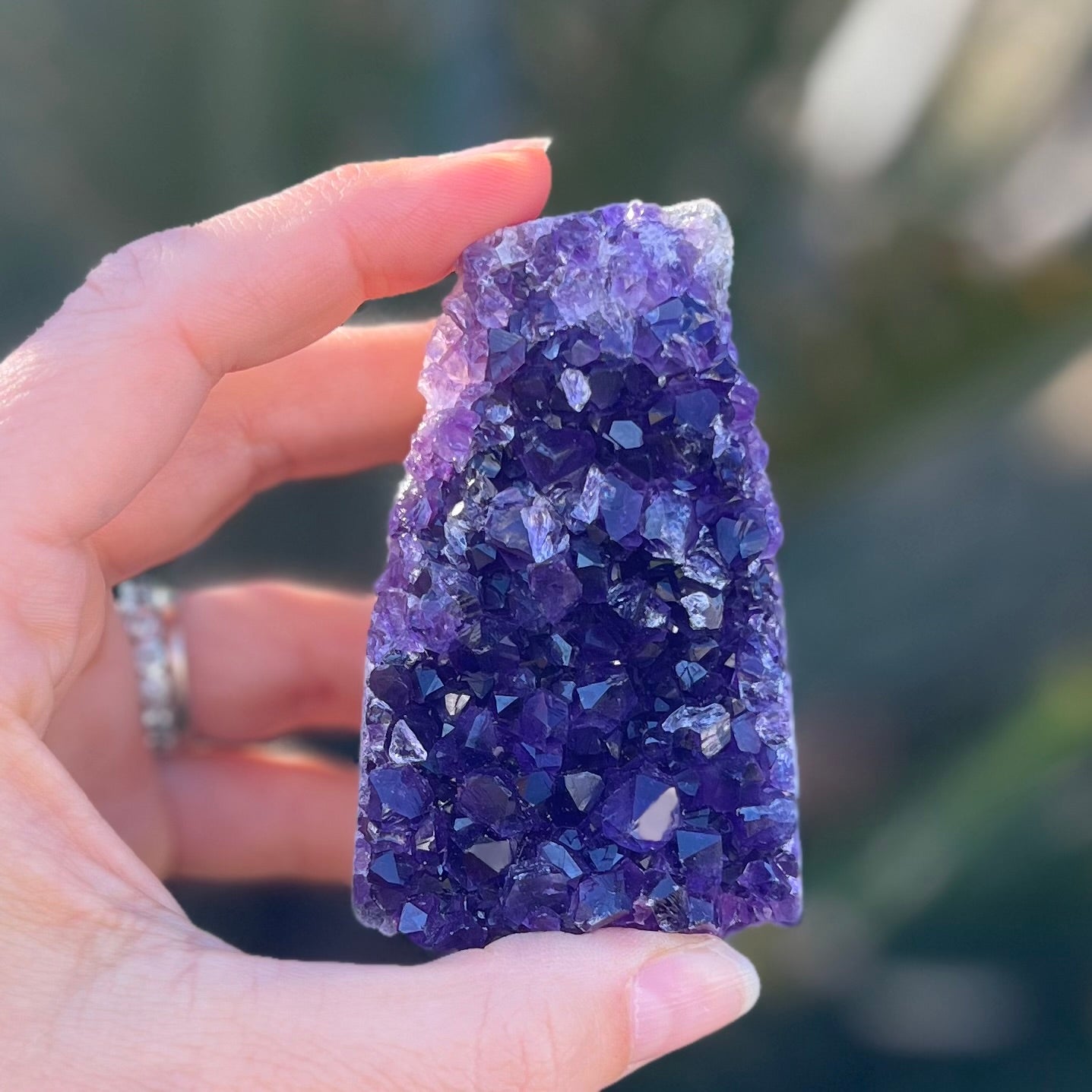 Amethyst Standing Cluster
