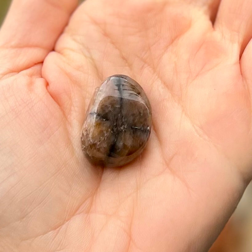 Chiastolite Protection Tumbled Specialty Crystal (2)