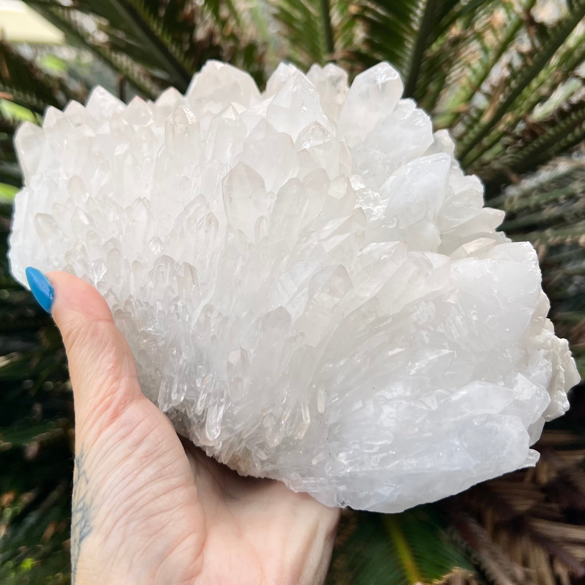 Raw Clear Quartz Natural Cluster of Points