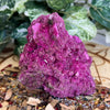Ruby with Pyrite Specimen