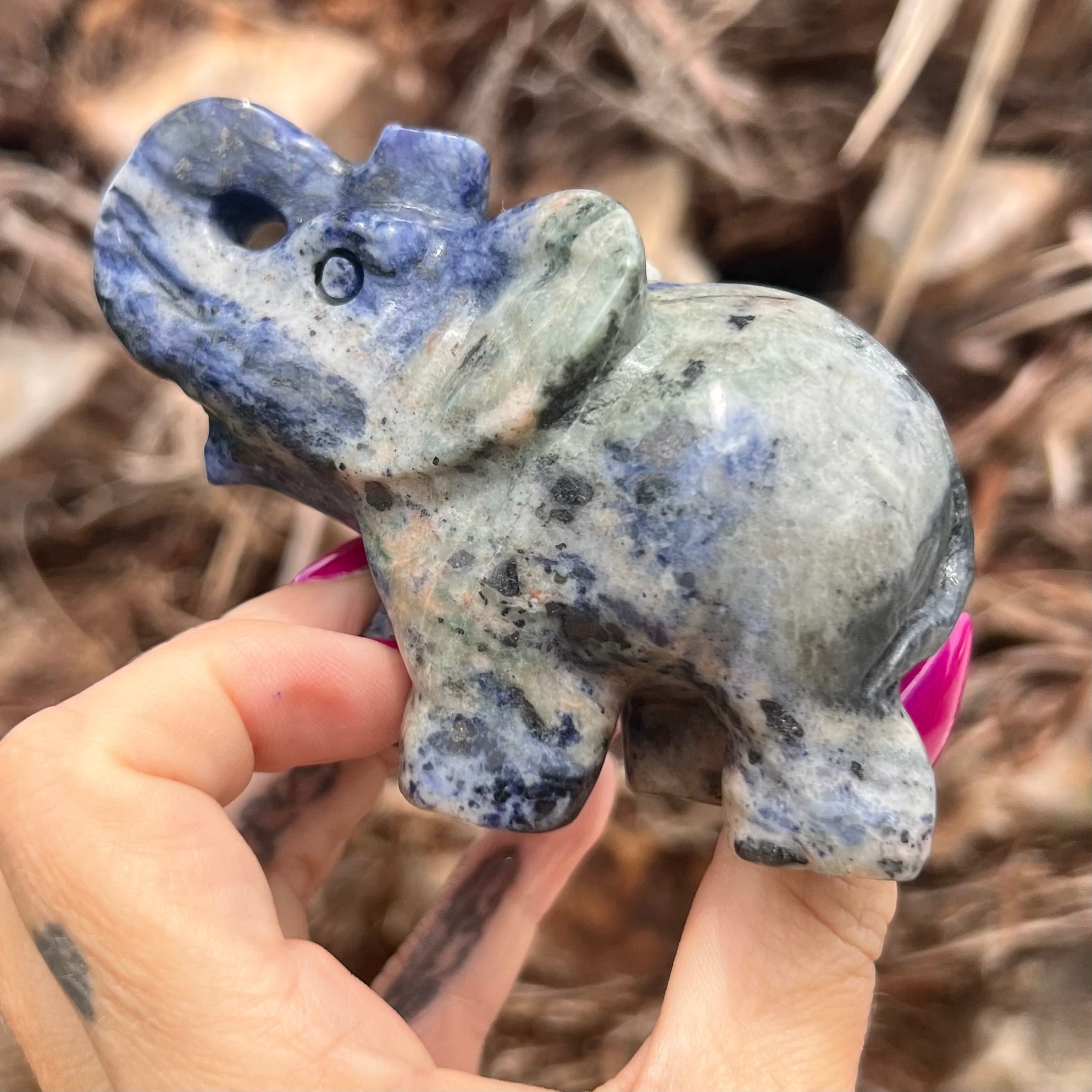 Lucky Elephant ~ Sodalite