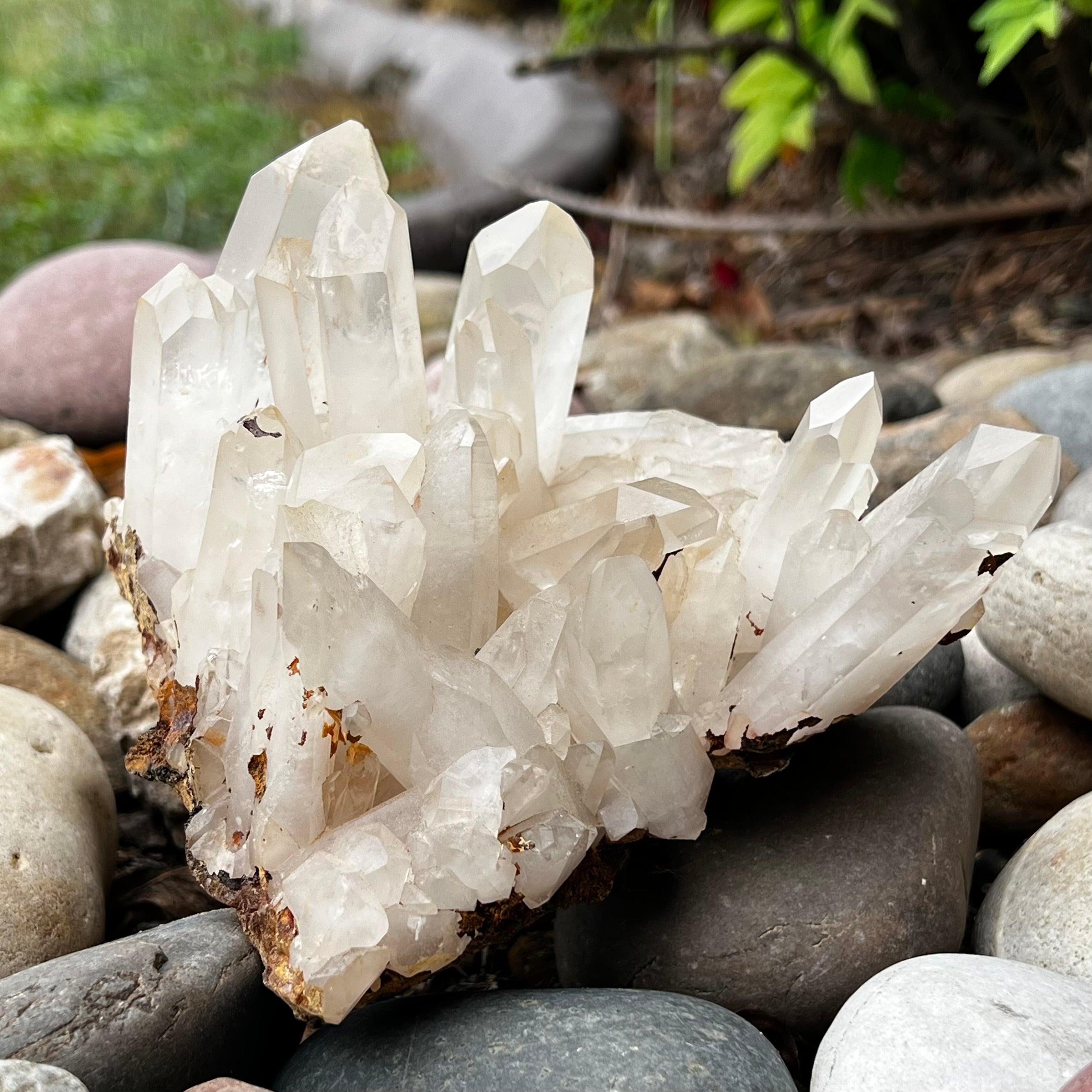 Clear Quartz Cluster