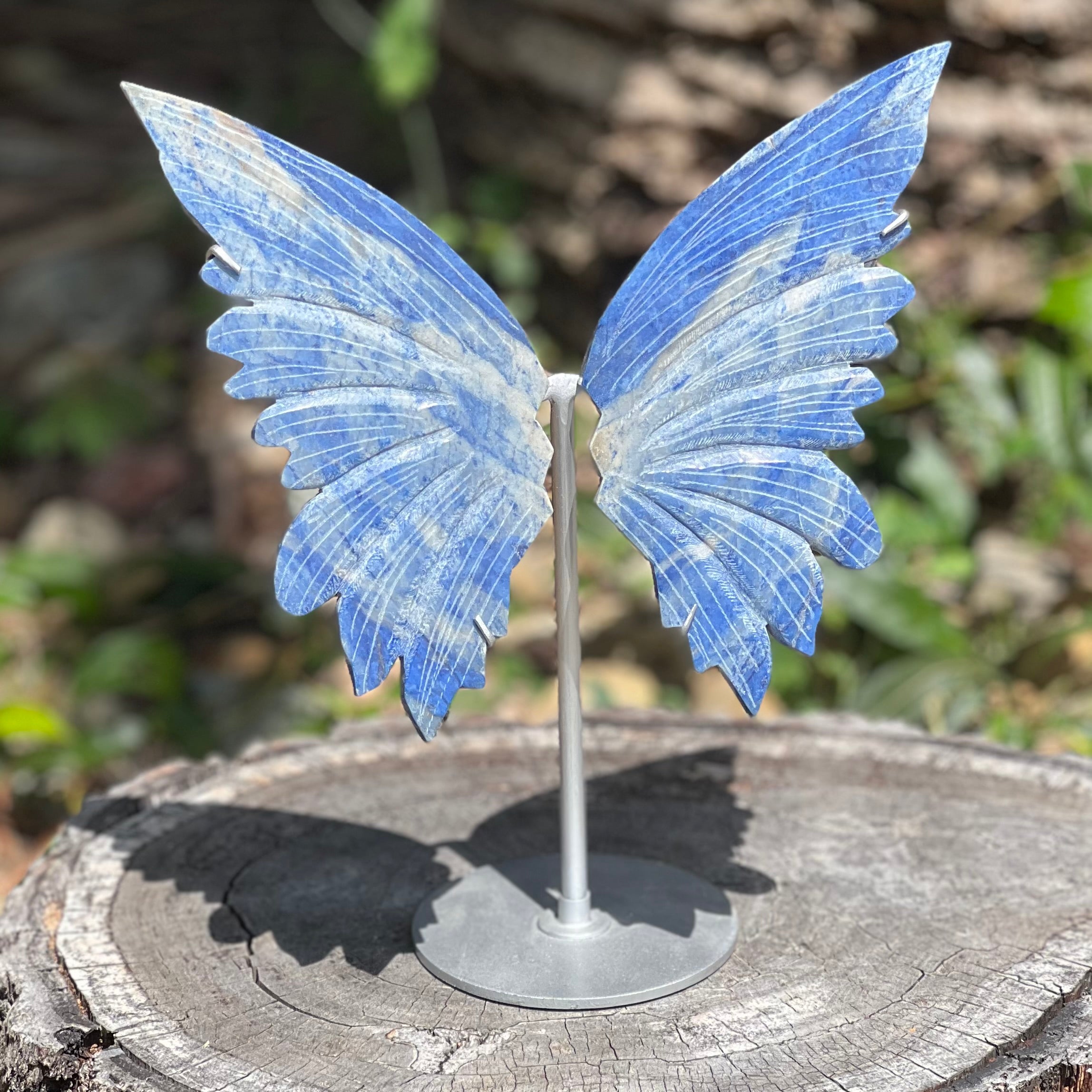 Sodalite Butterfly on Stand