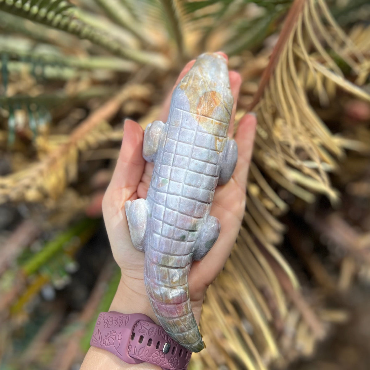 Ocean Jasper ~ Crocodile